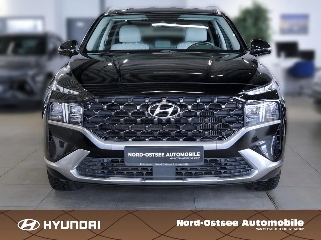 Hyundai-Santa Fe-image-1