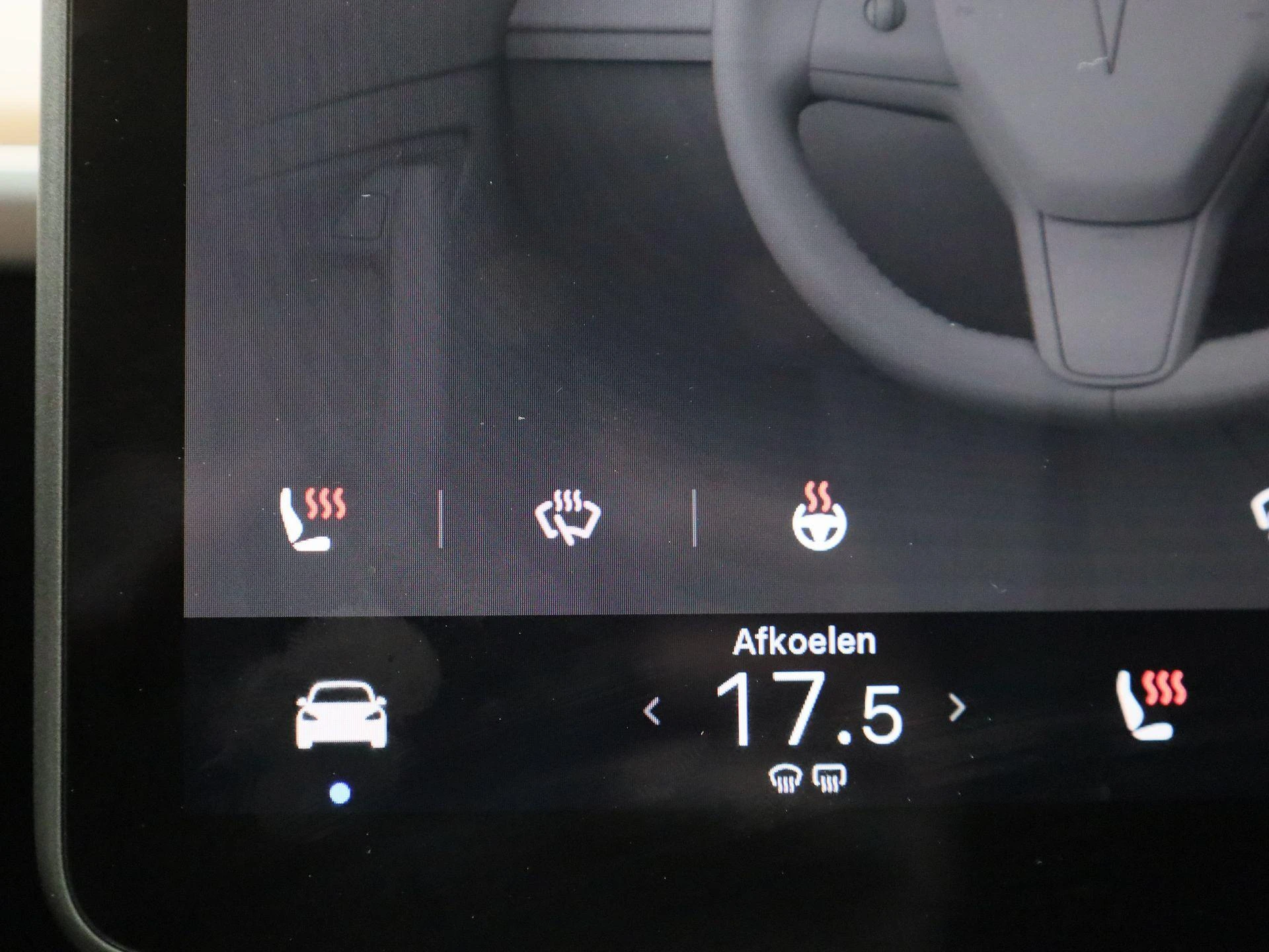 Tesla-Model 3-image-19