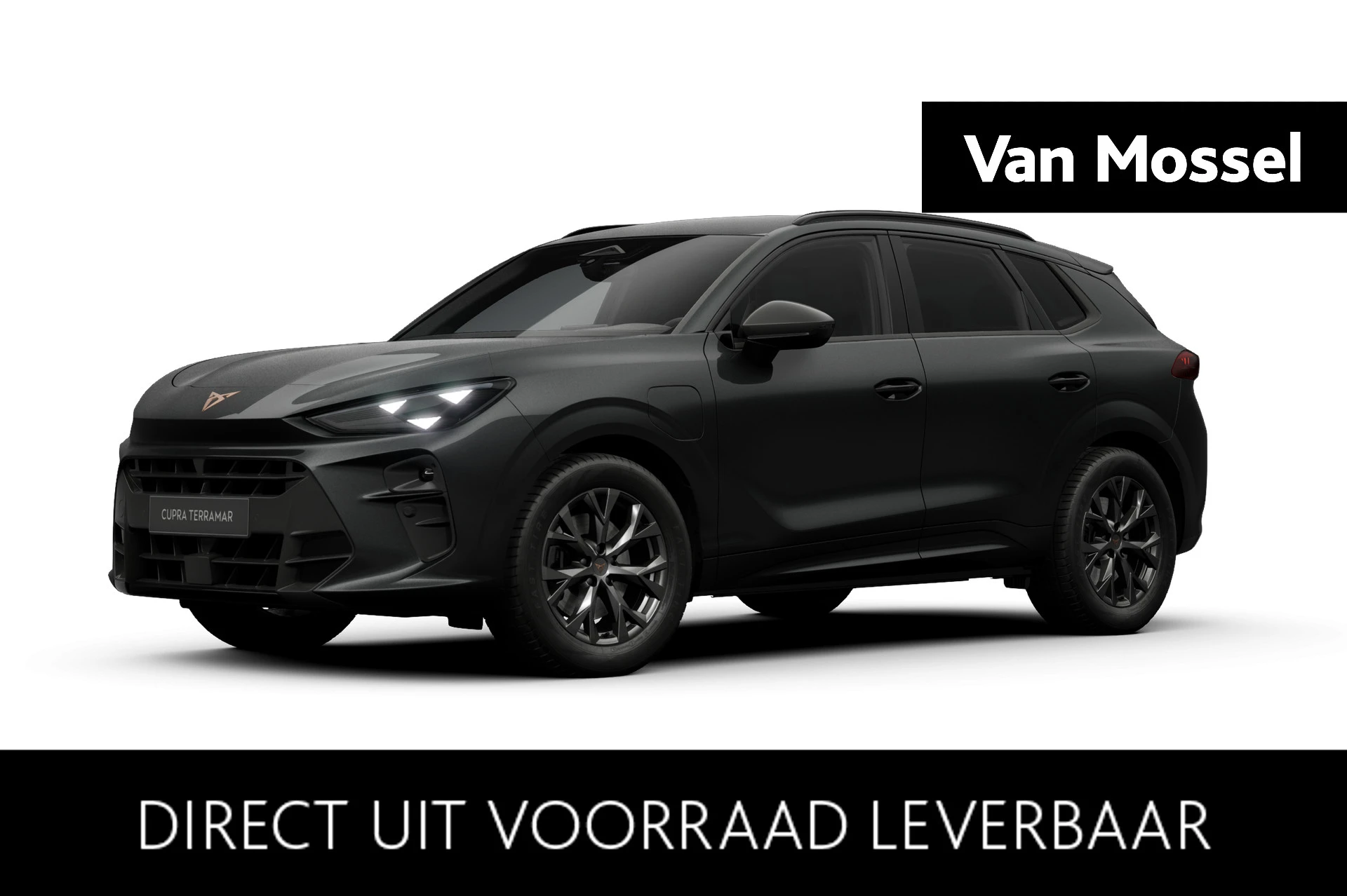 CUPRA-Terramar-image-0