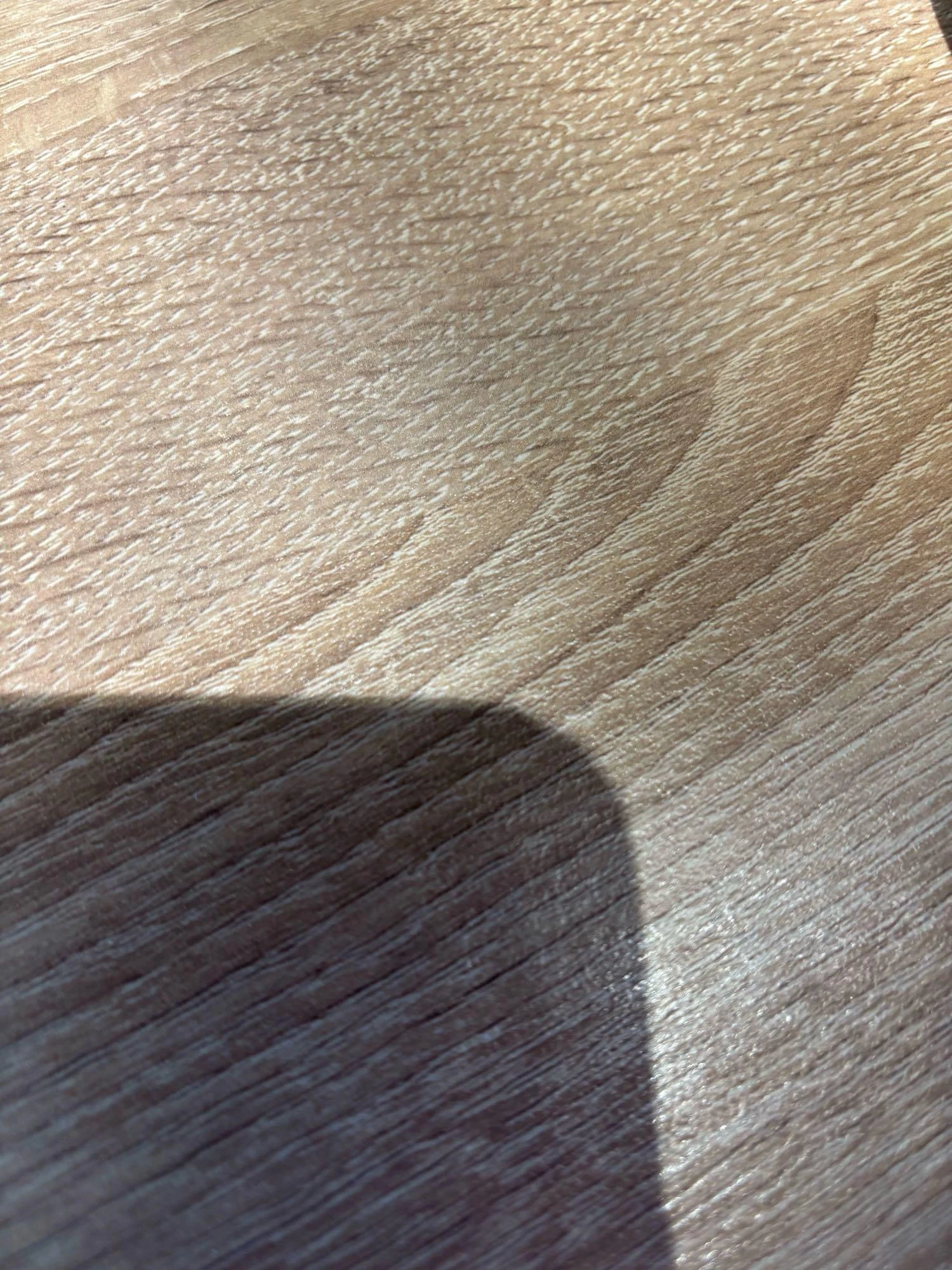 Volkswagen-Golf-image-13