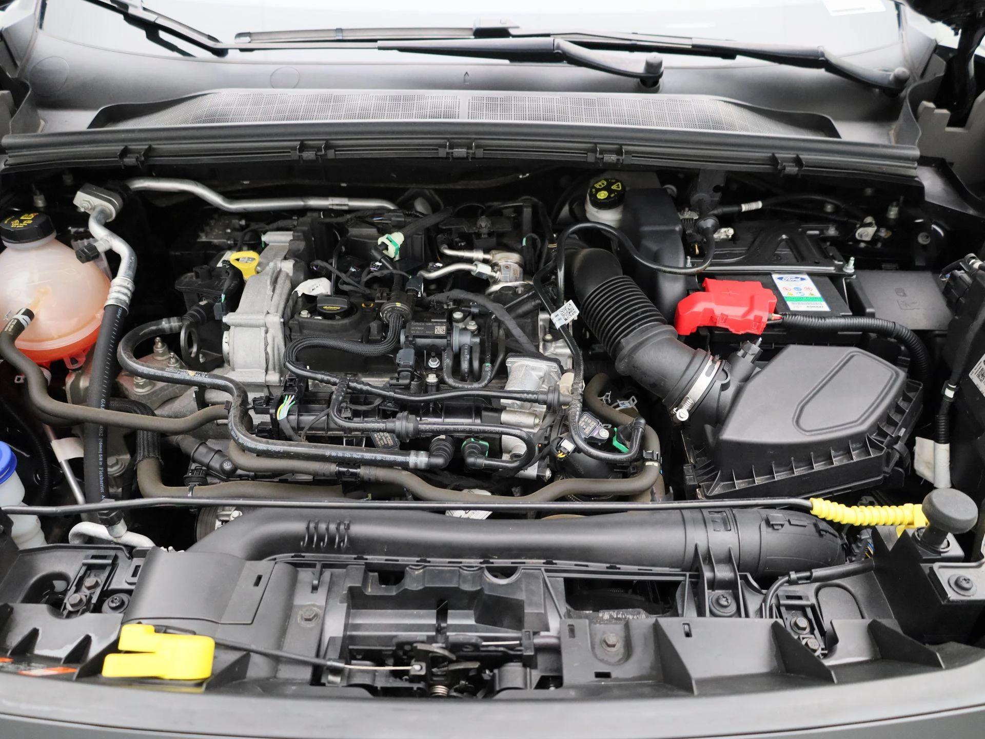 Ford-Puma-image-28