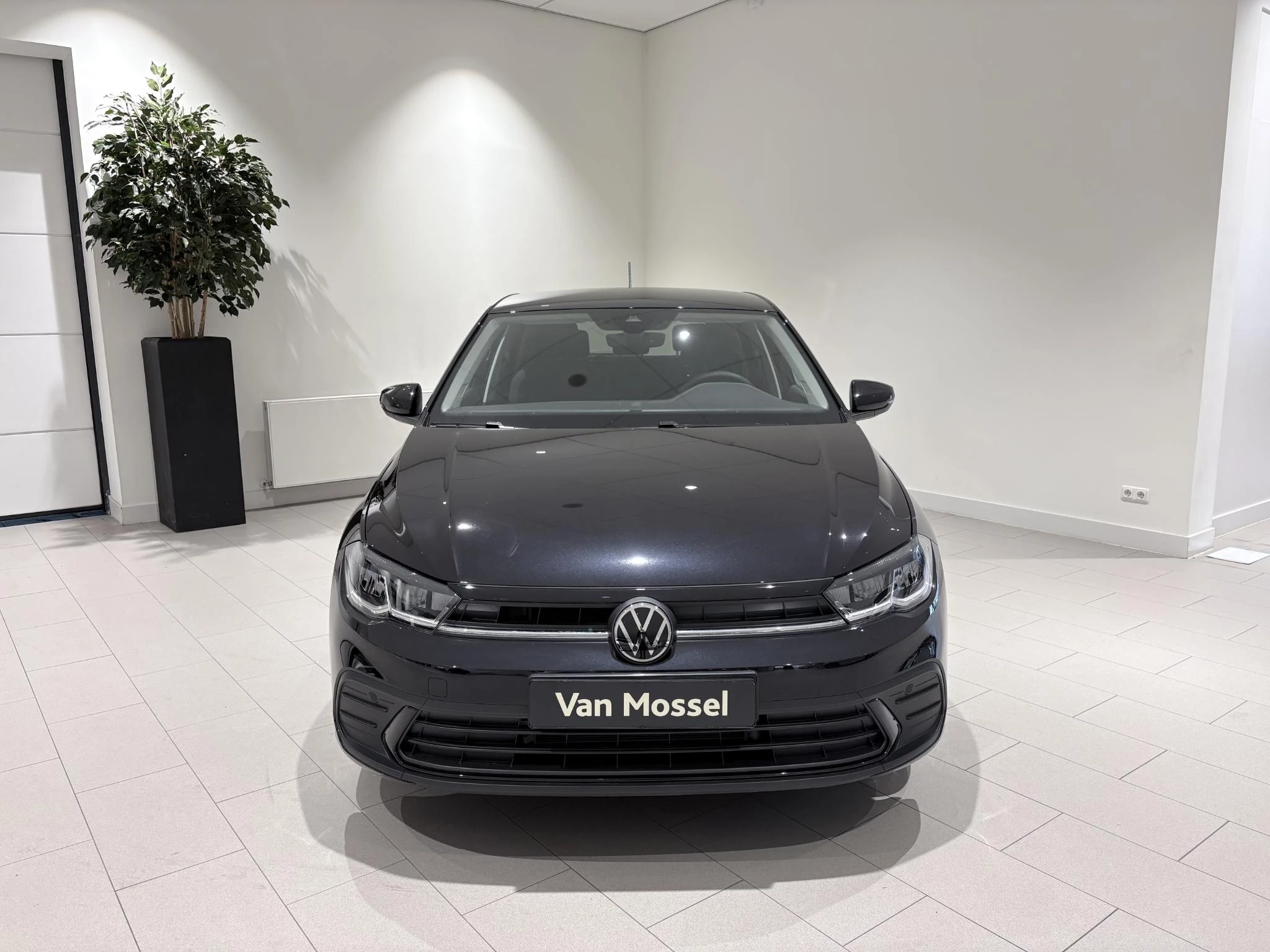 Volkswagen-Polo-image-7