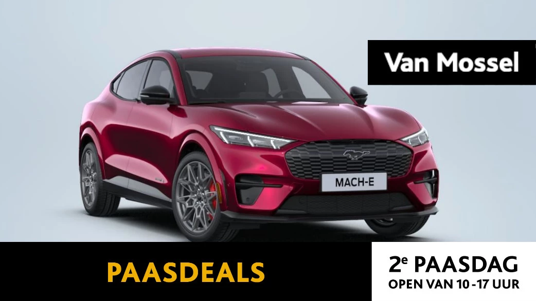 Ford-Mustang Mach-E-image-0