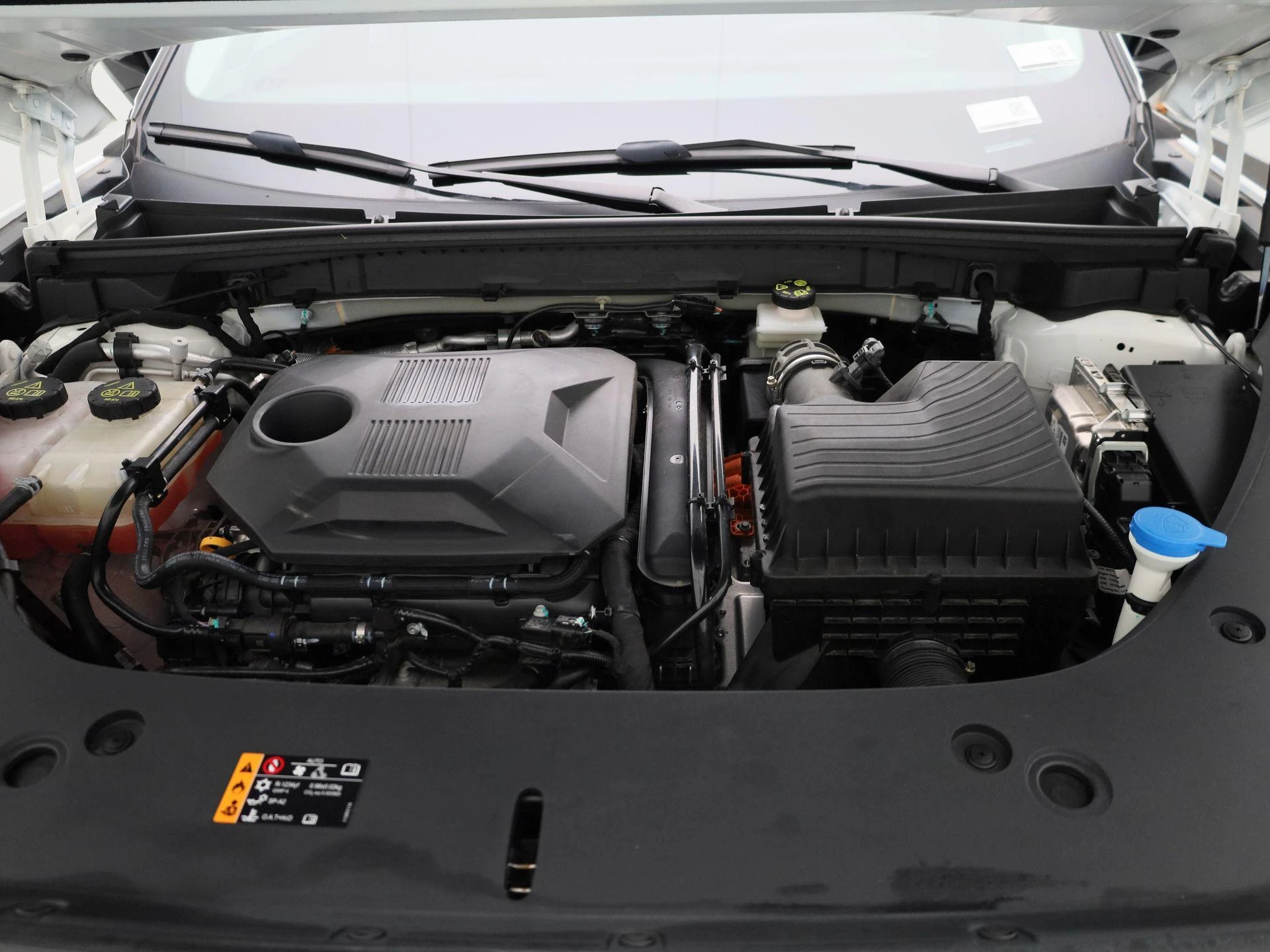 MG-HS-image-33
