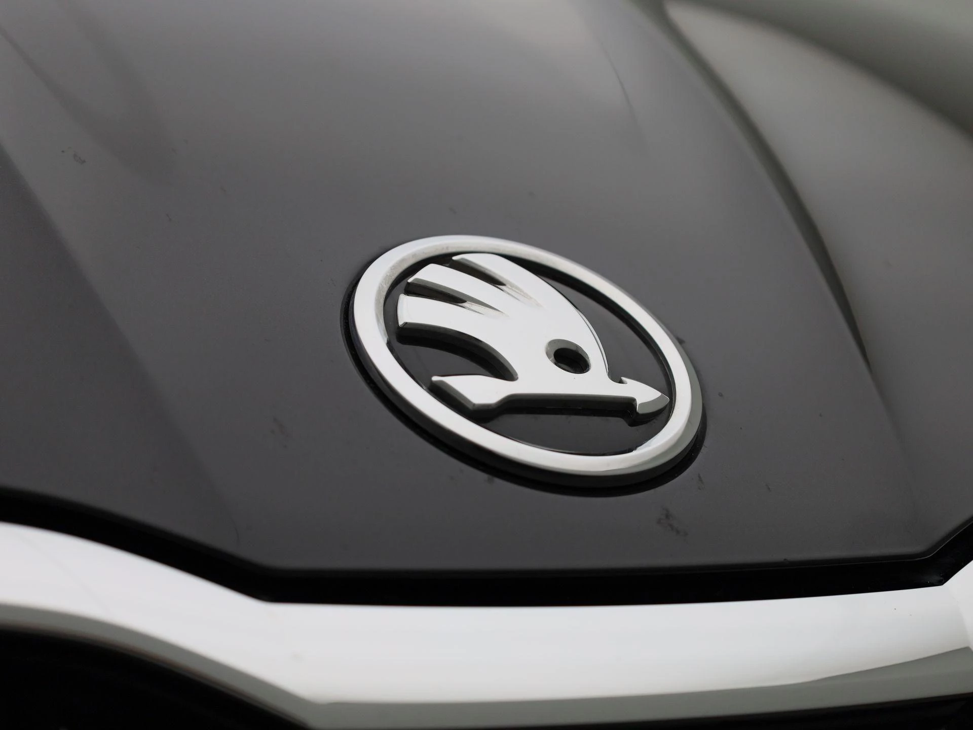 Škoda-Fabia-image-35