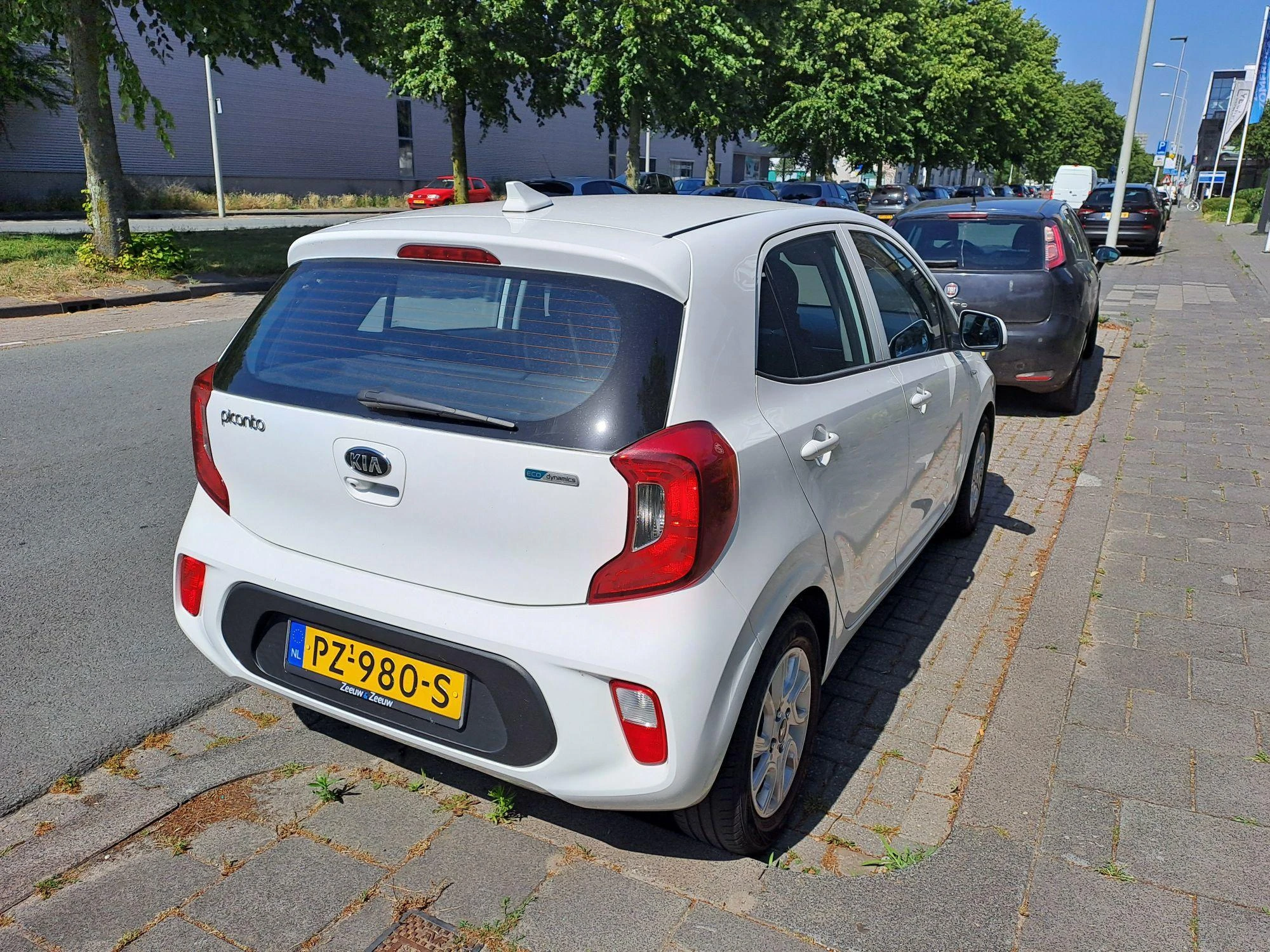 Kia-Picanto-image-6