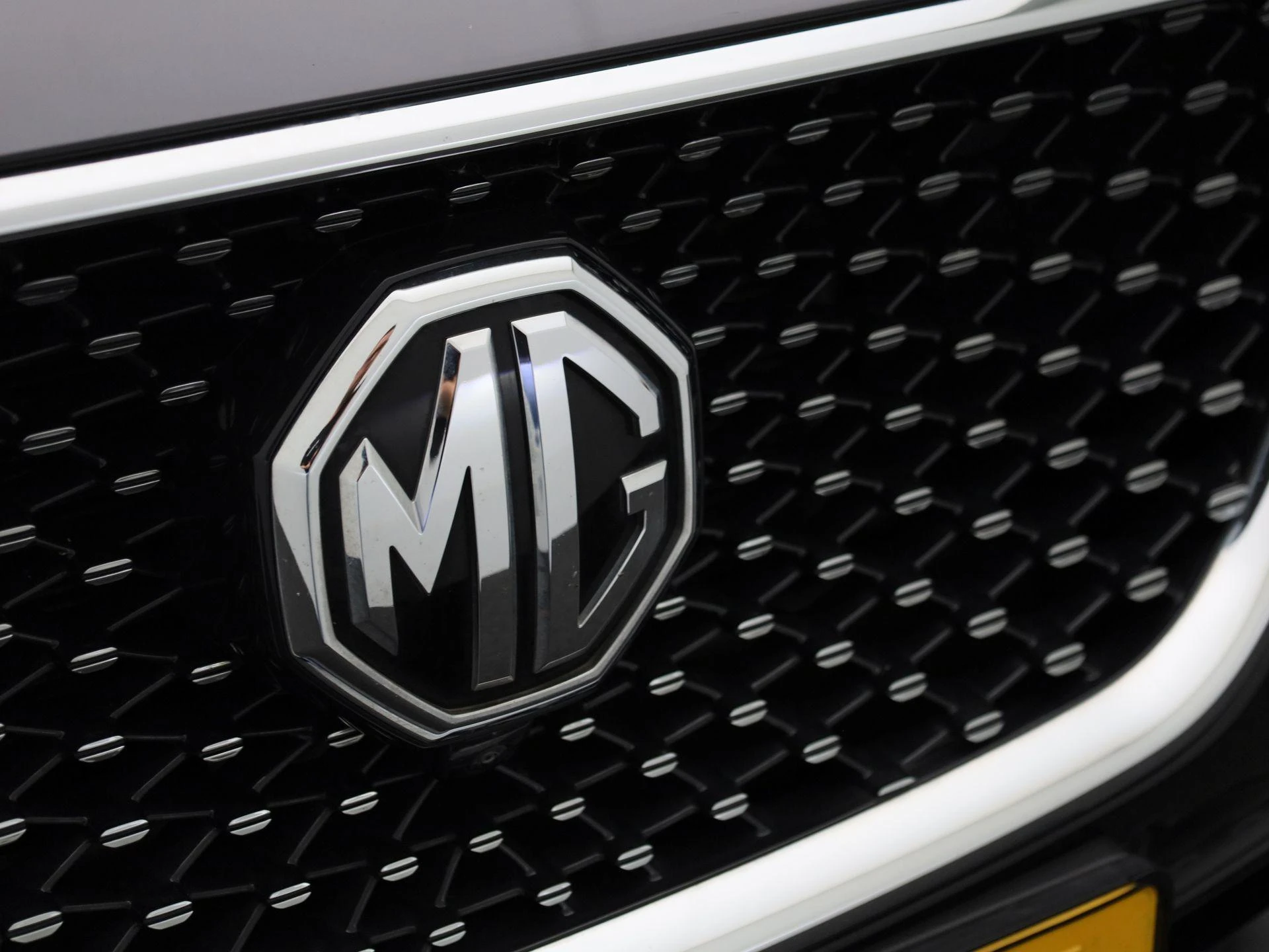 MG-EHS-image-36