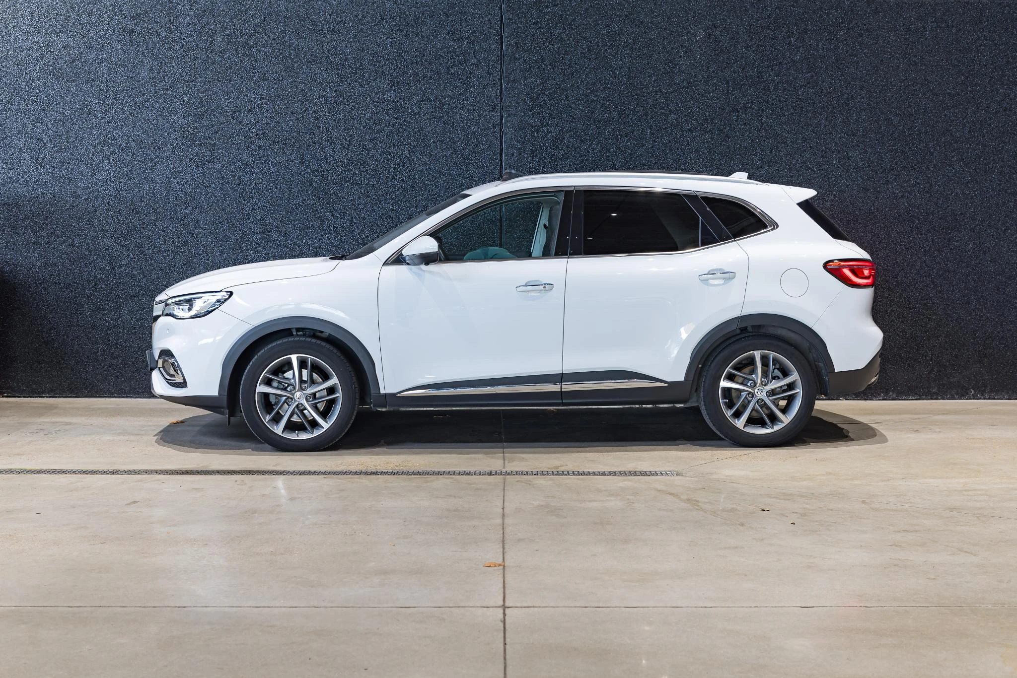 MG-HS-image-3