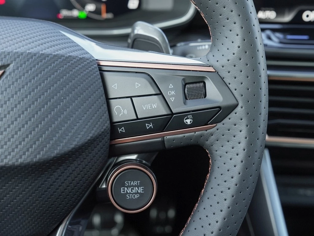 CUPRA Formentor VZ 4Drive Black Edition /Pano/AHK/Navi