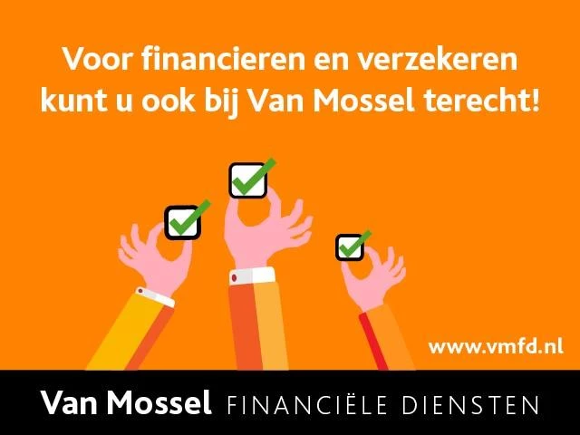 Ford-Mustang Mach-E-image-11