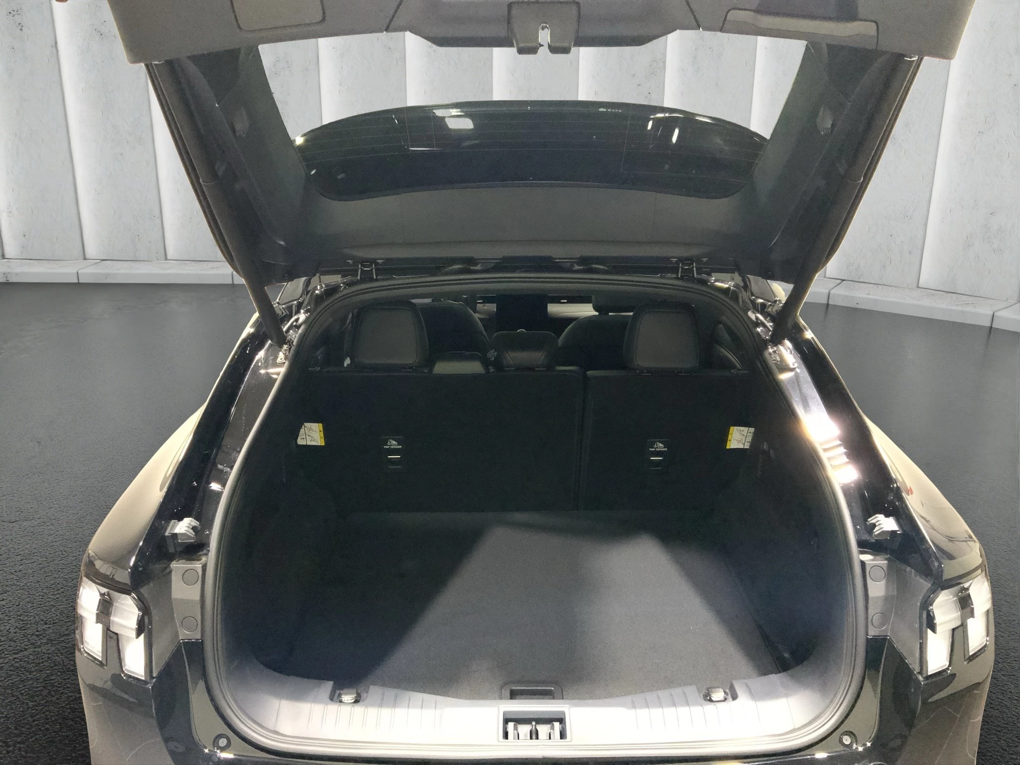 Ford-Mustang Mach-E-image-17