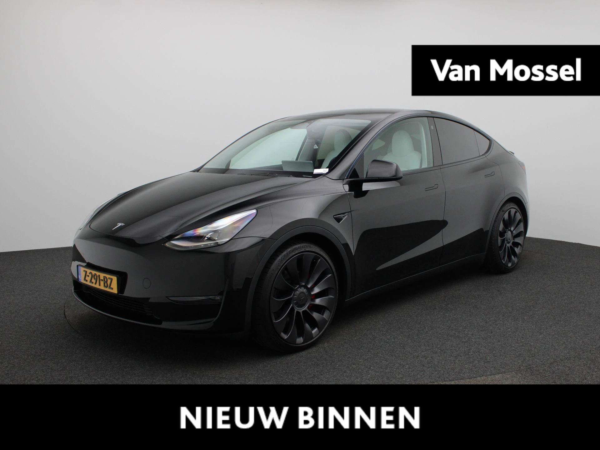 Tesla-Model Y-image-0