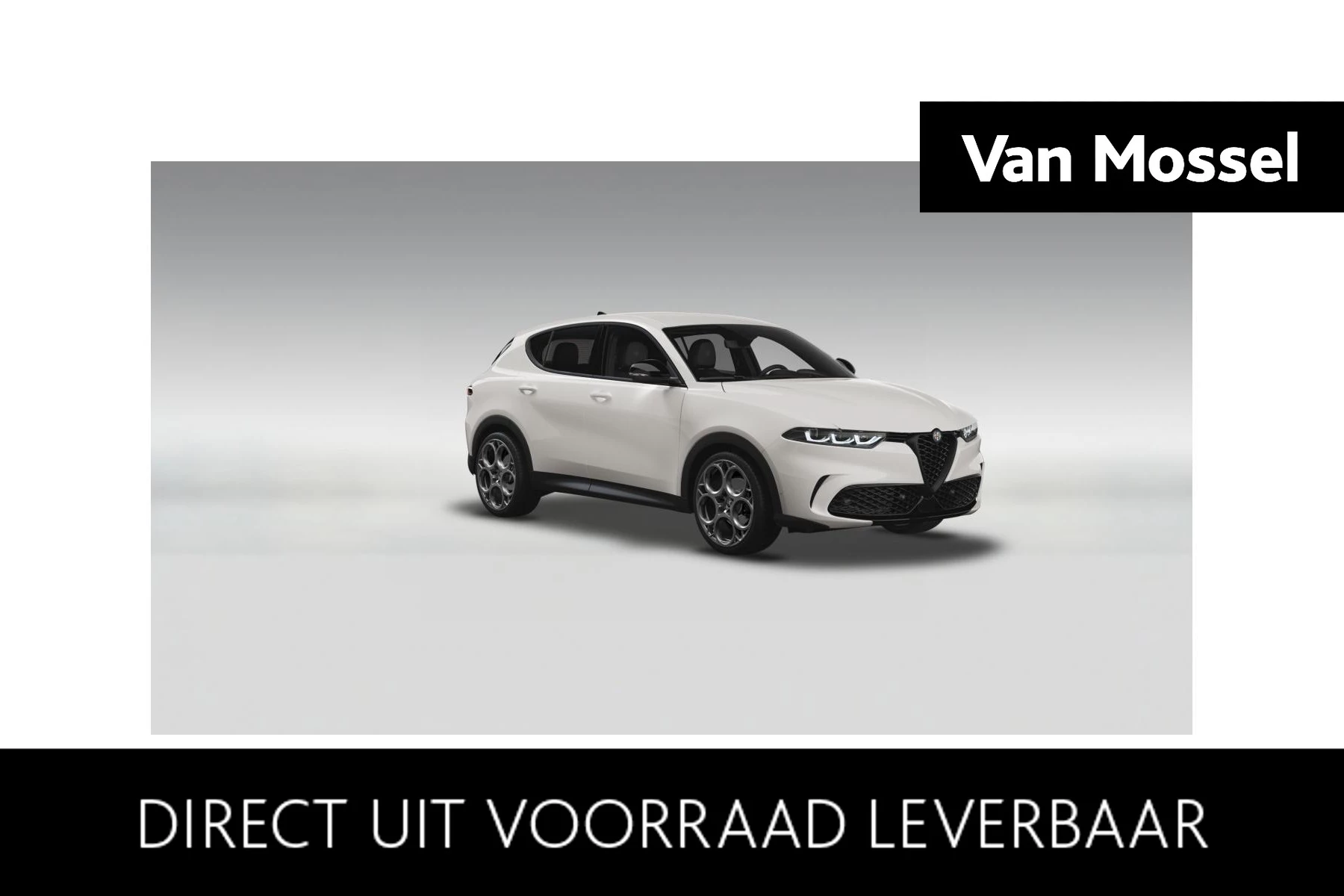 Alfa Romeo-Tonale-image-0