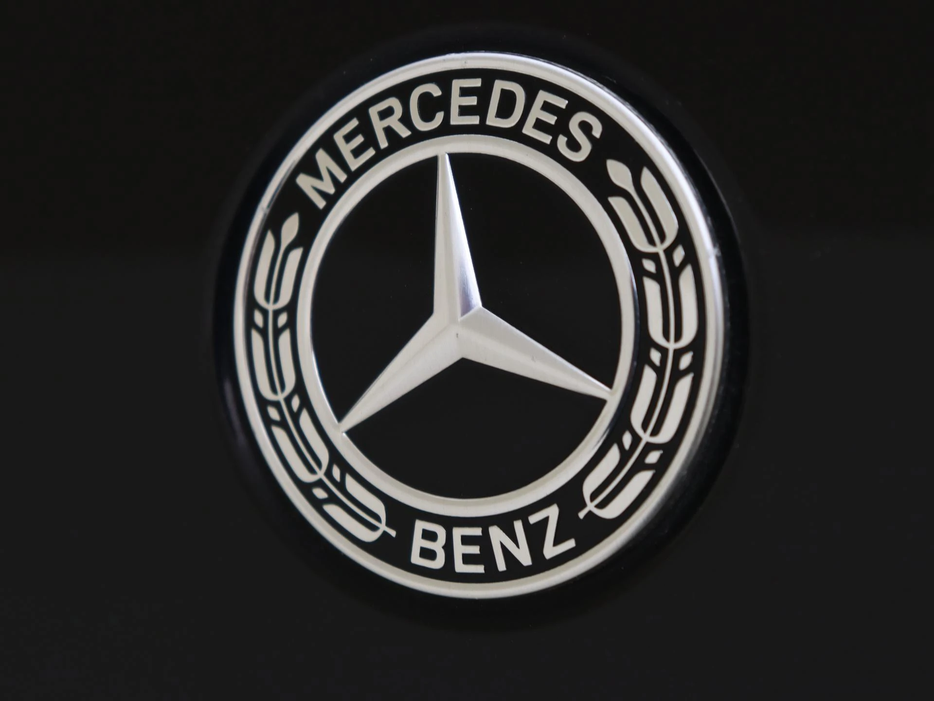 Mercedes-Benz-EQC-image-29