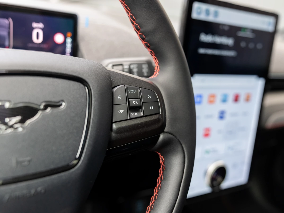 Ford-Mustang Mach-E-image-16