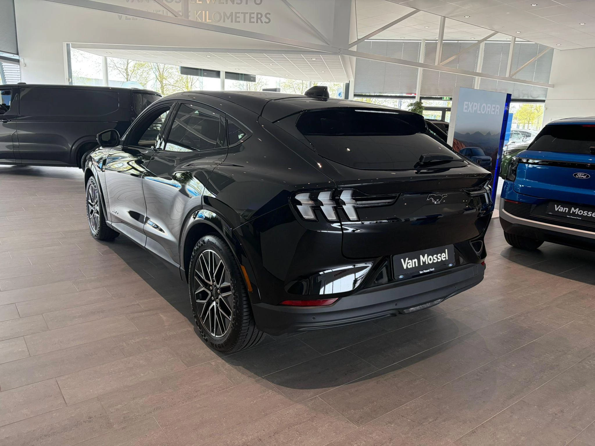 Ford-Mustang Mach-E-image-3