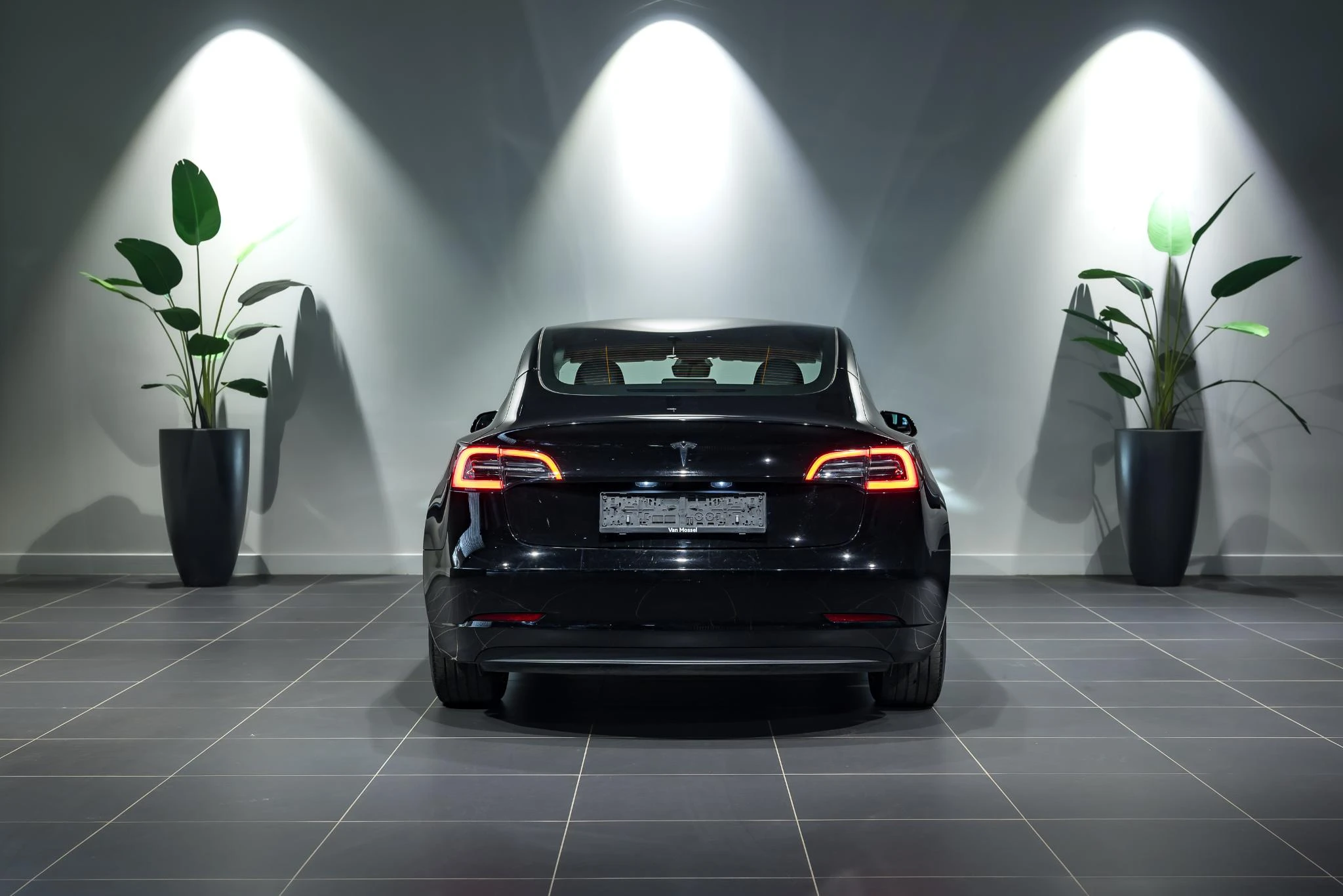Tesla-Model 3-image-4