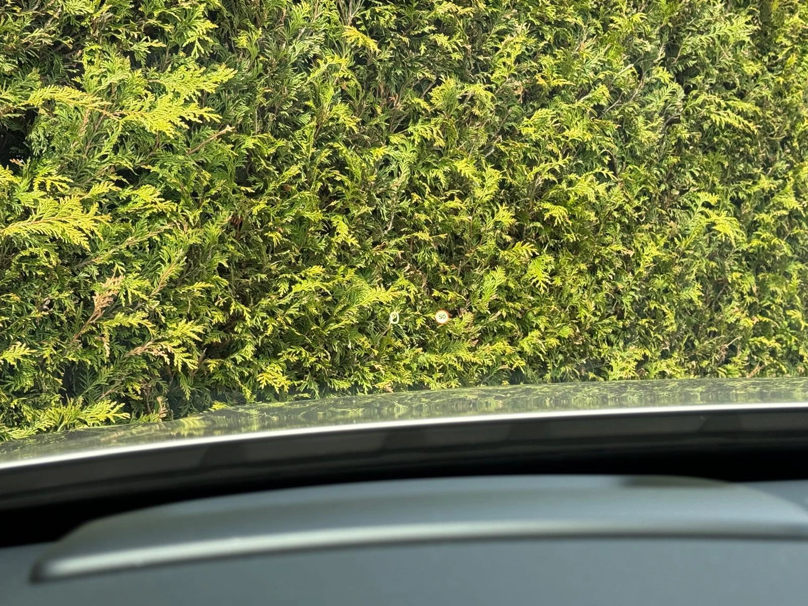 Volvo-XC90-image-23