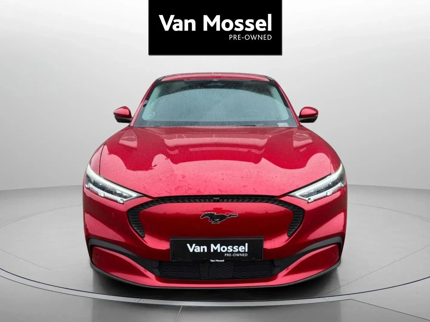 Ford-Mustang Mach-E-image-1