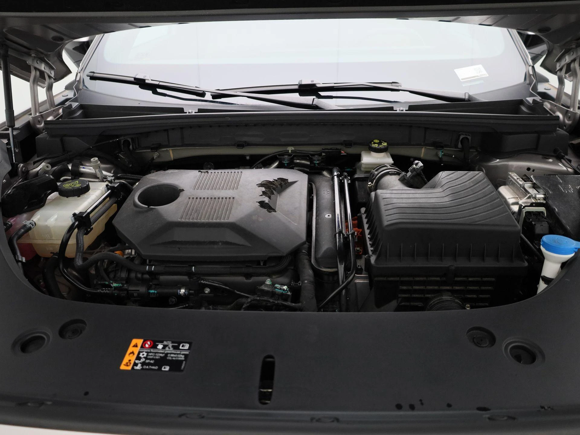MG-HS-image-34