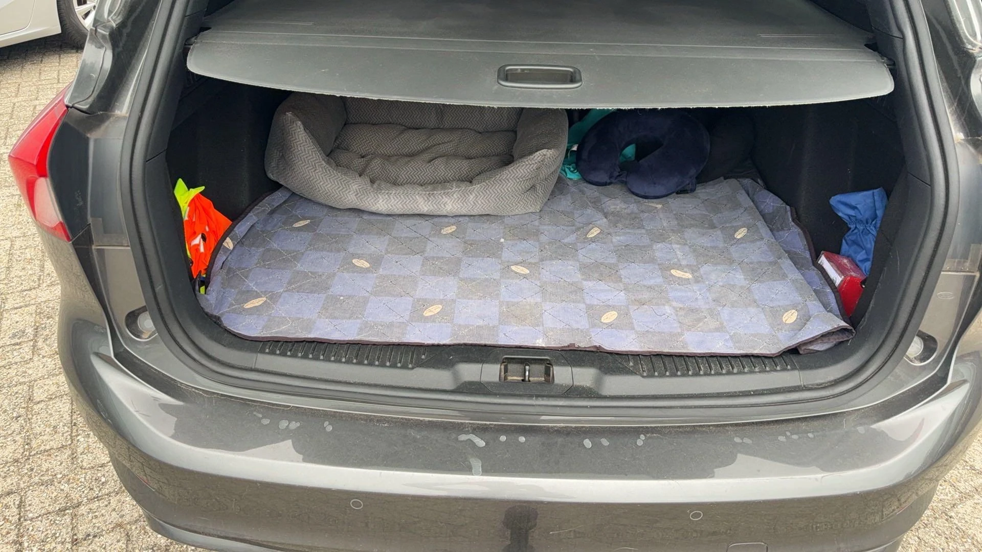 Ford-Focus-image-8