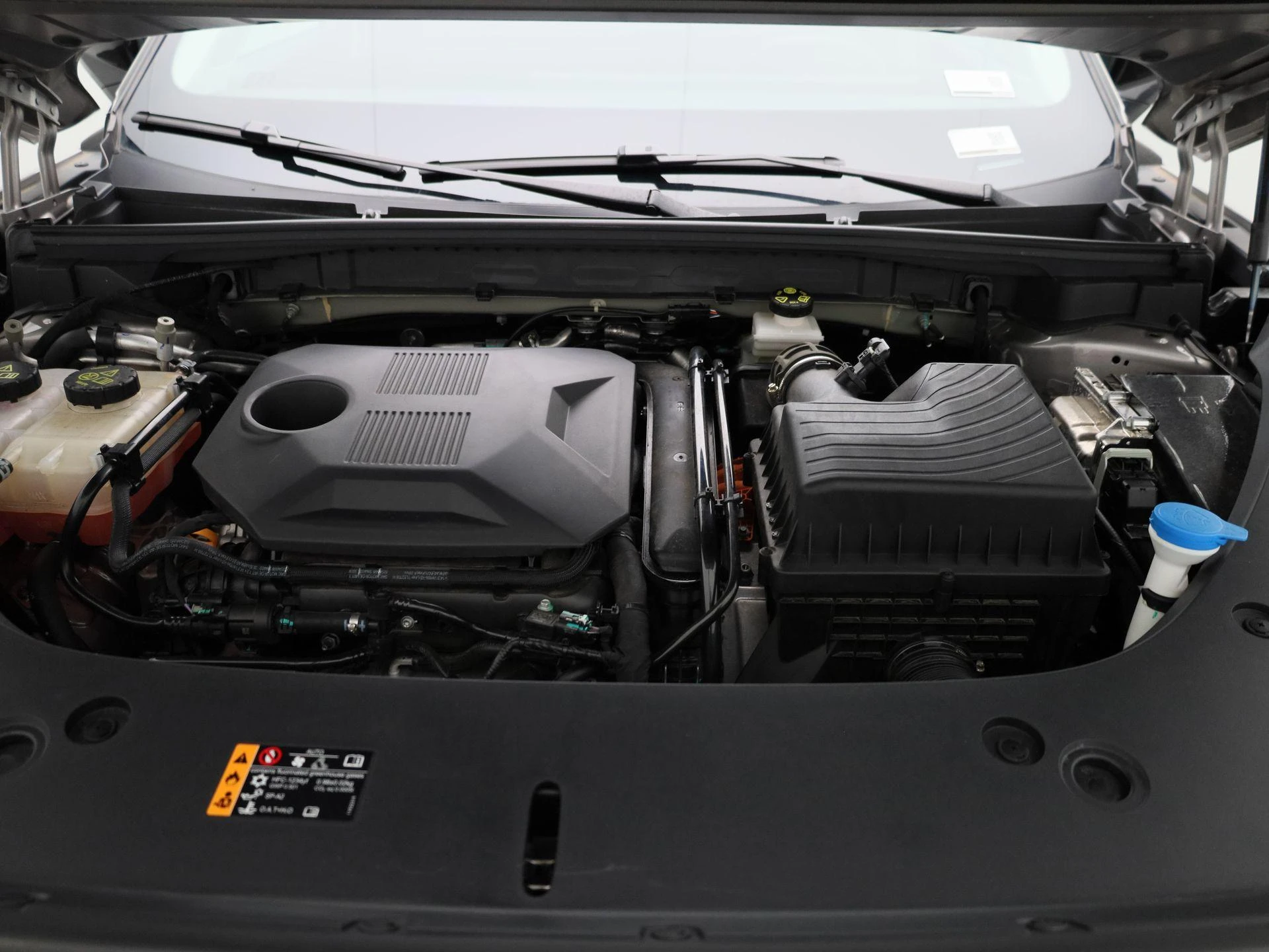 MG-HS-image-35