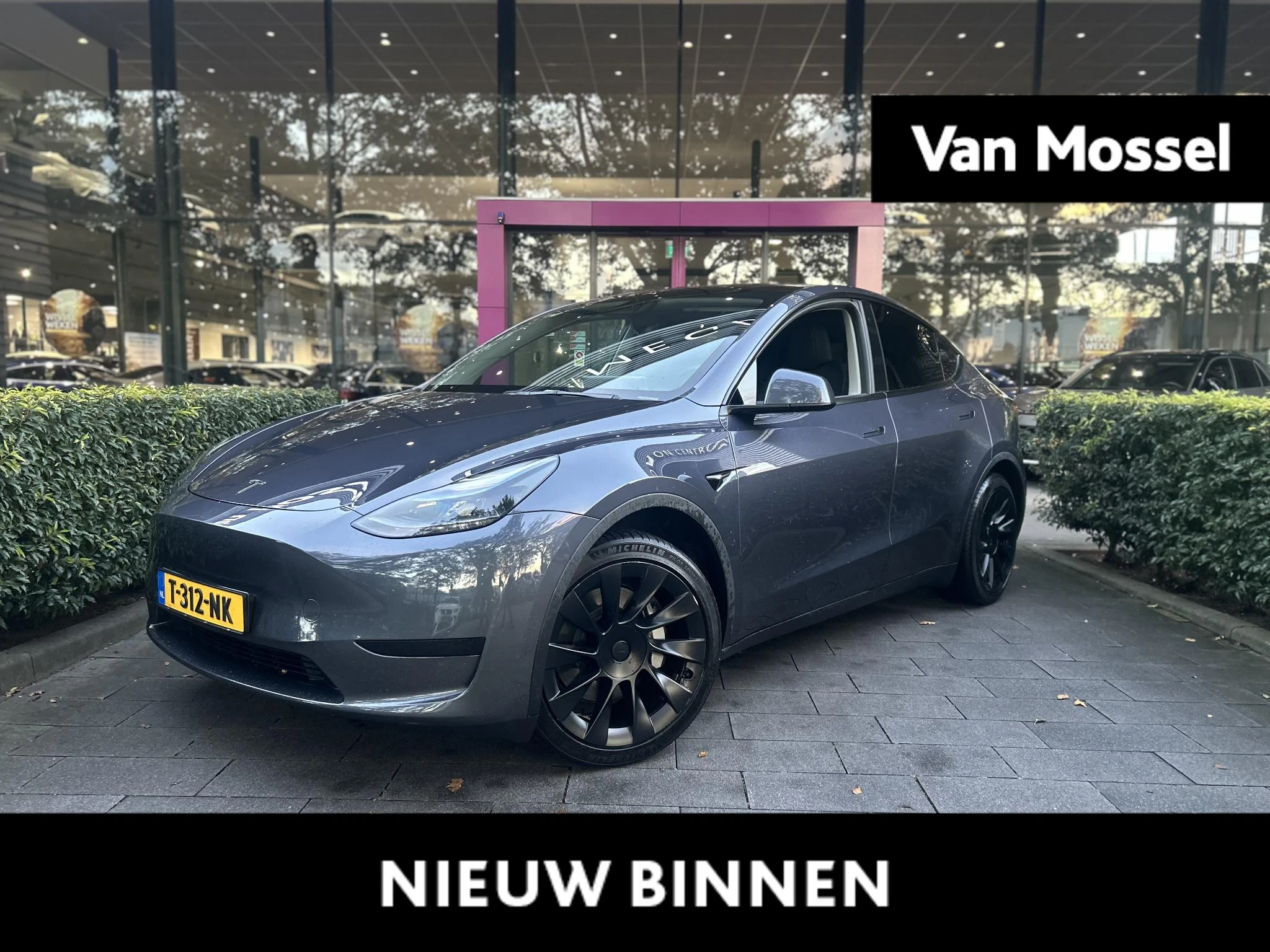 Tesla-Model Y-image-0