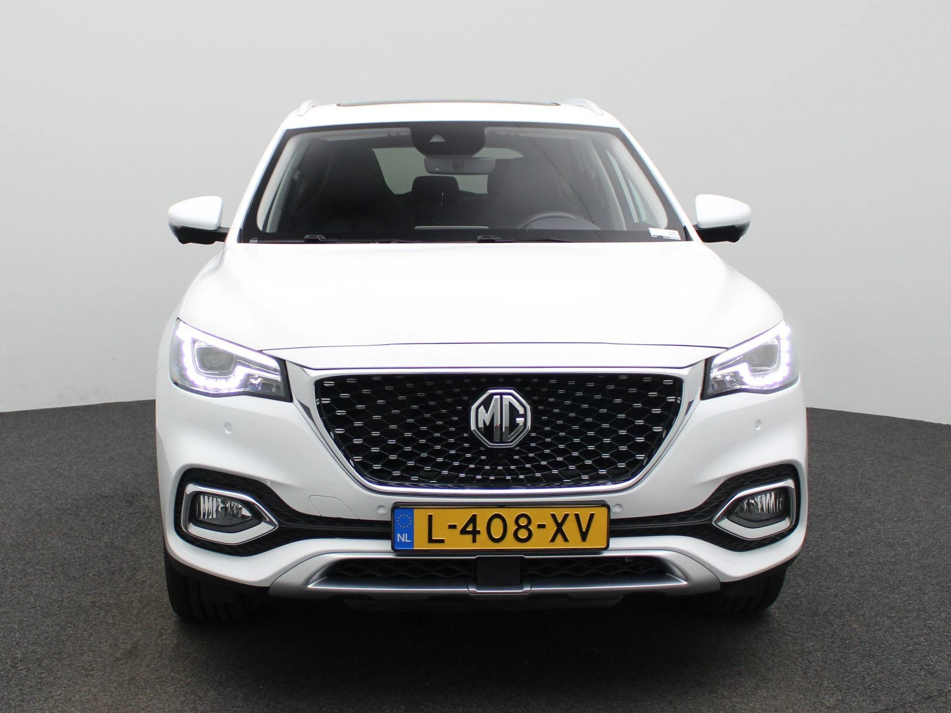 MG-EHS-image-2