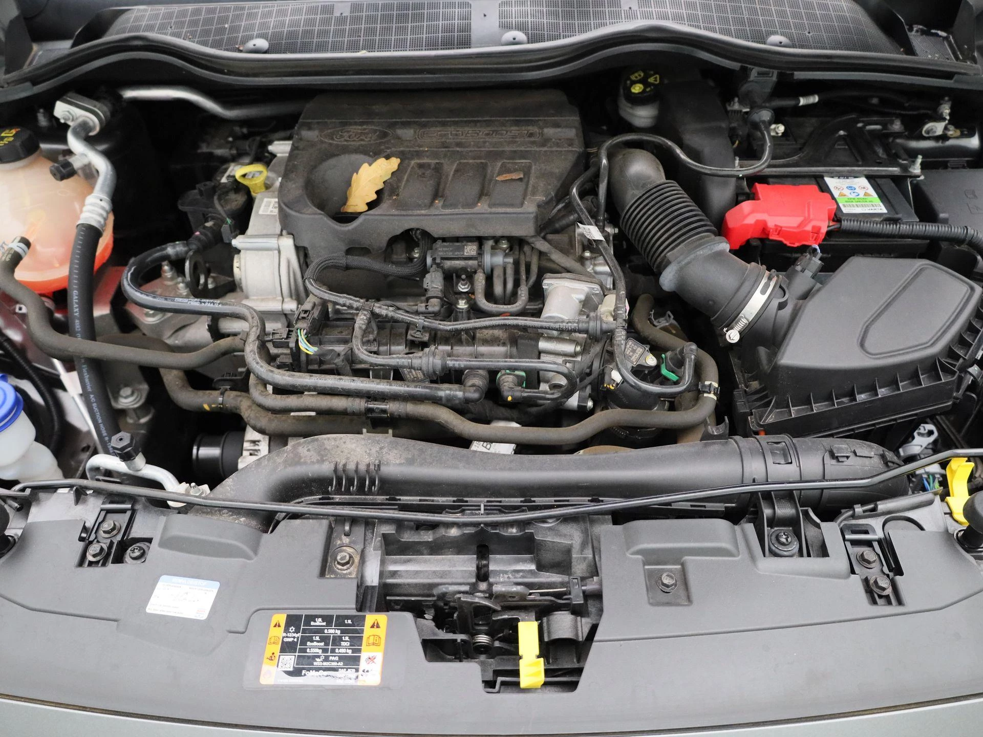 Ford-Fiesta-image-23