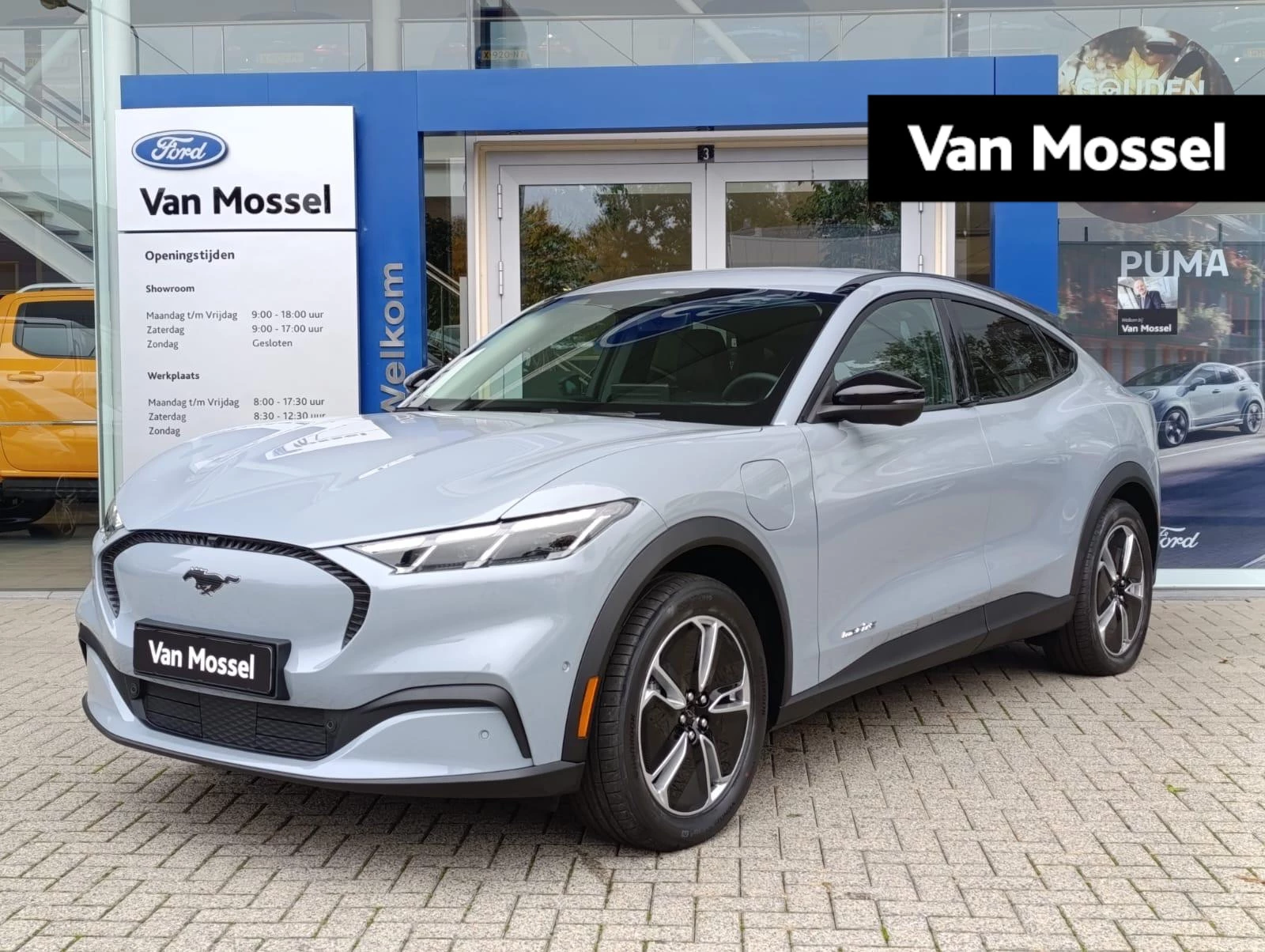 Ford-Mustang Mach-E-image-0