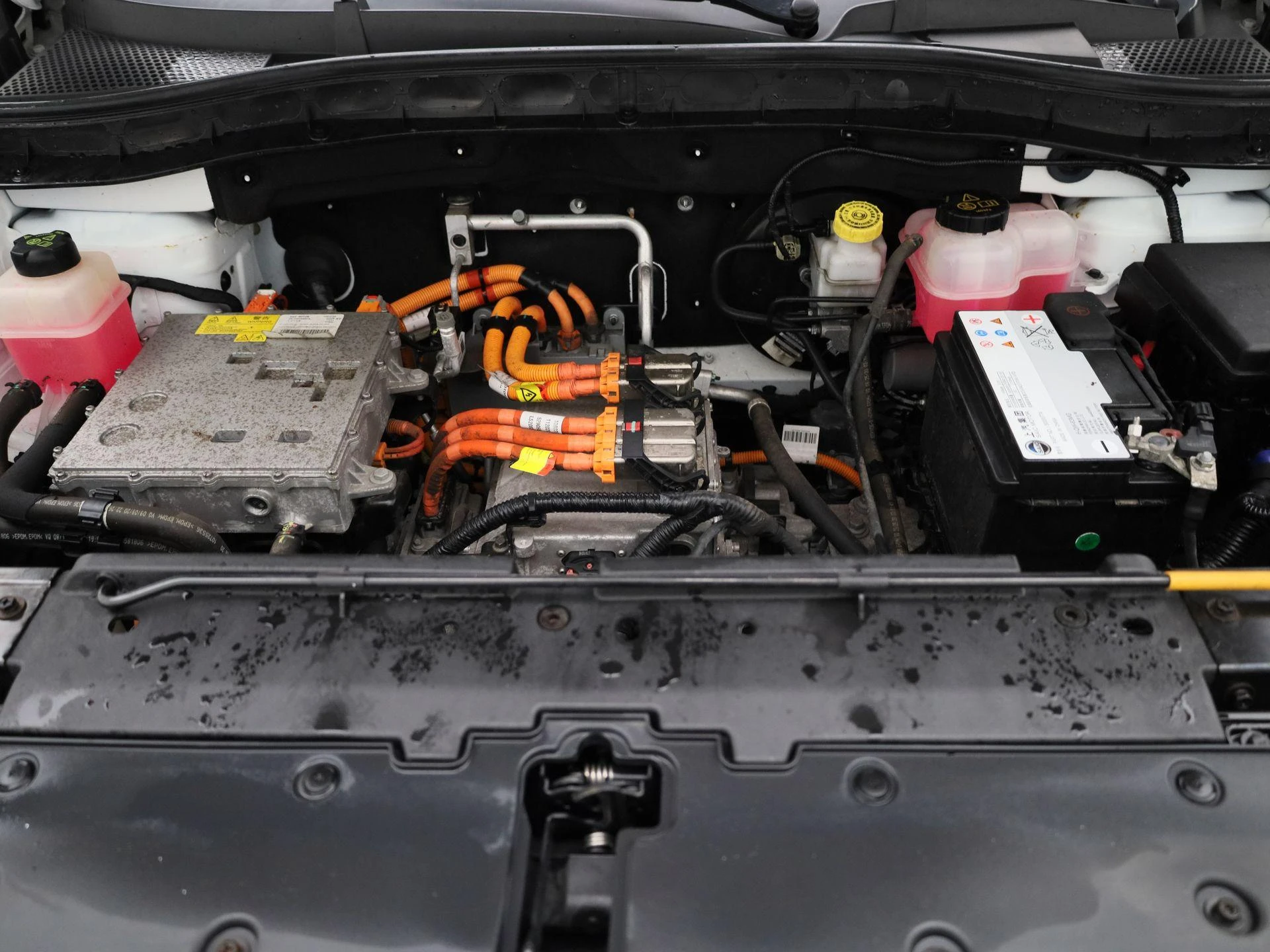 MG-ZS EV-image-30