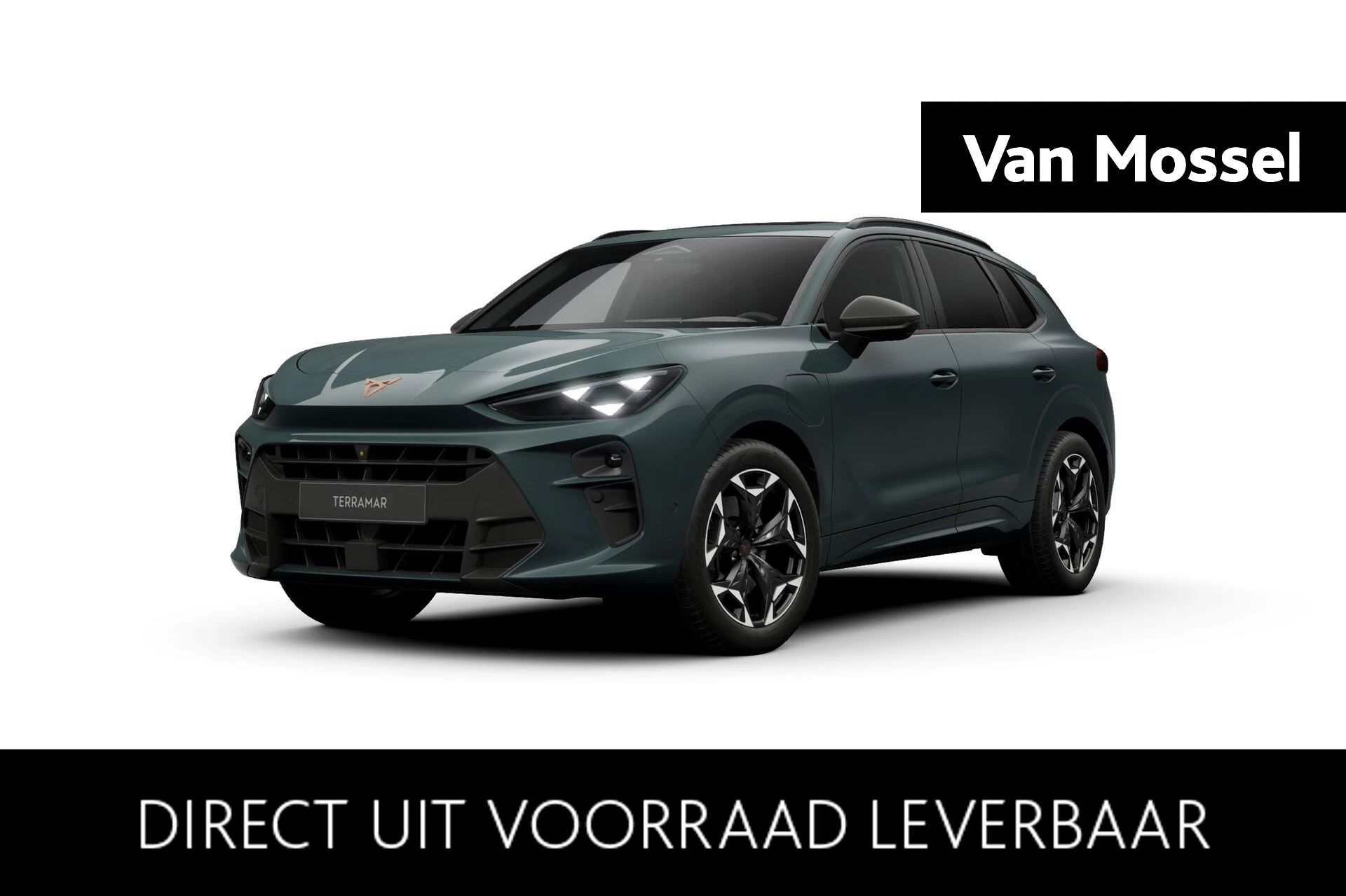 CUPRA-Terramar-image-0