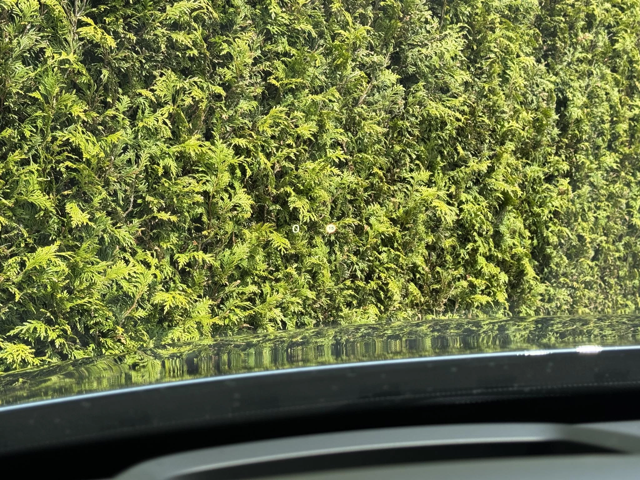 Volvo-XC90-image-30