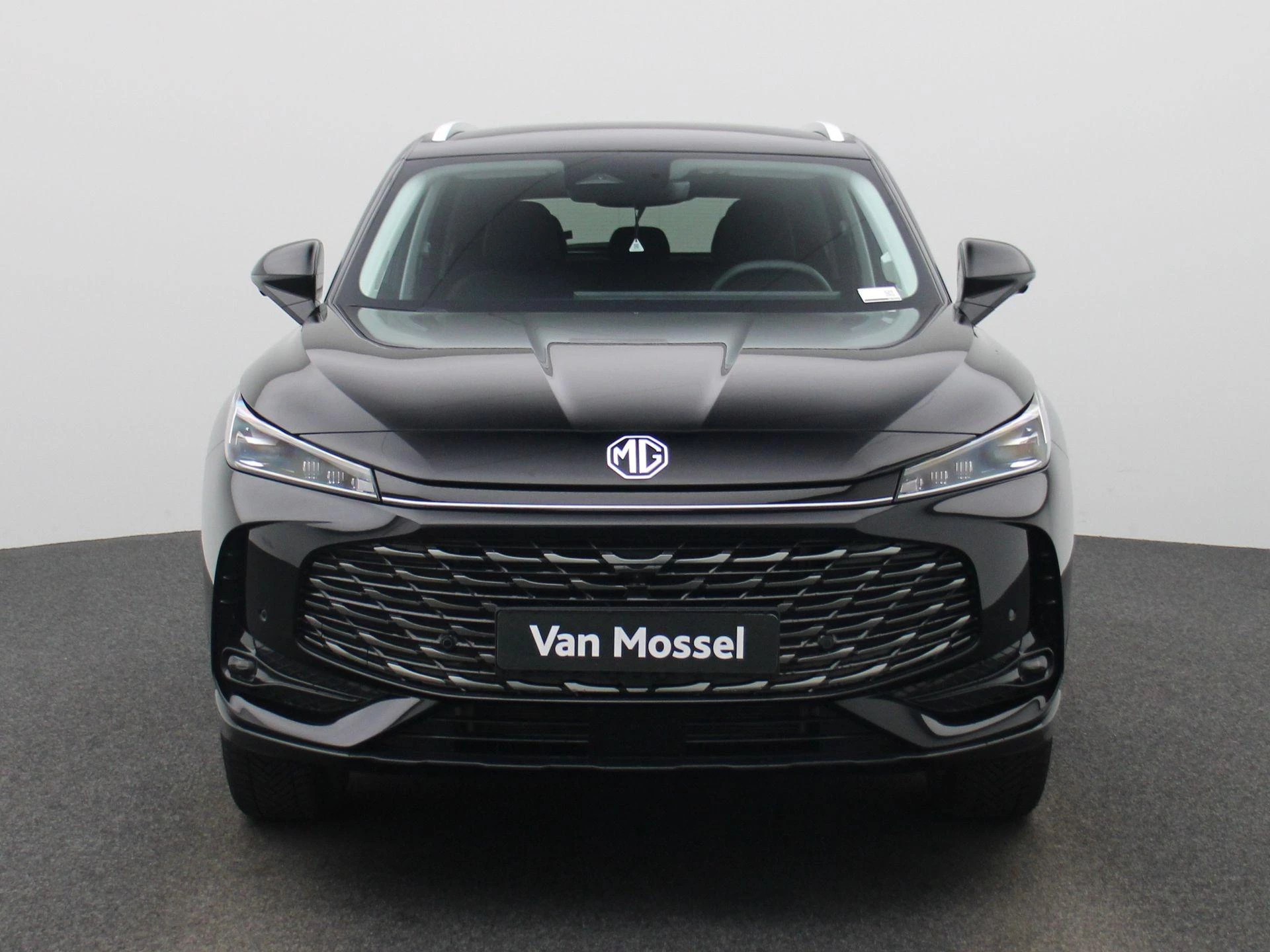 MG-HS-image-2