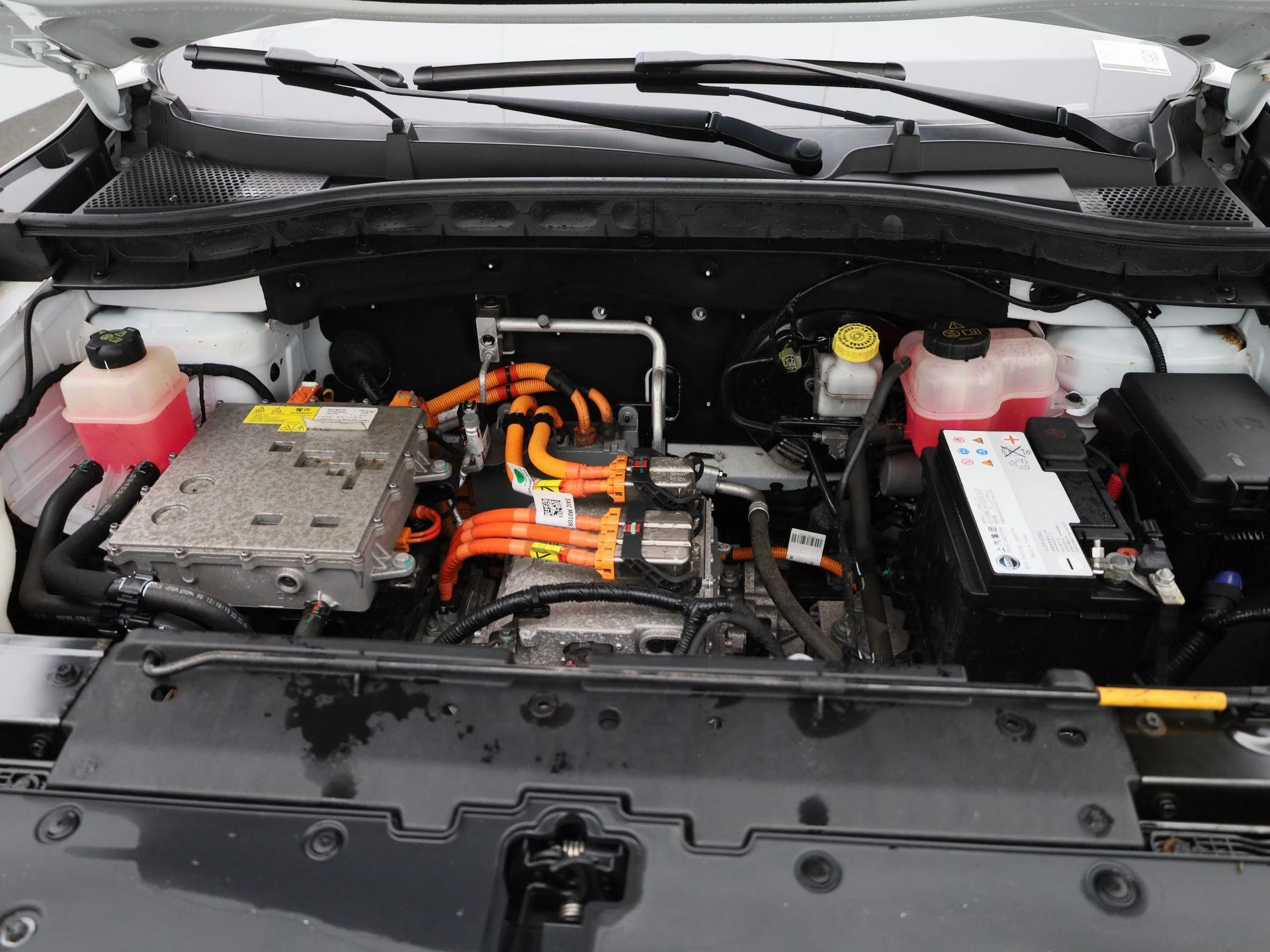 MG-ZS EV-image-32