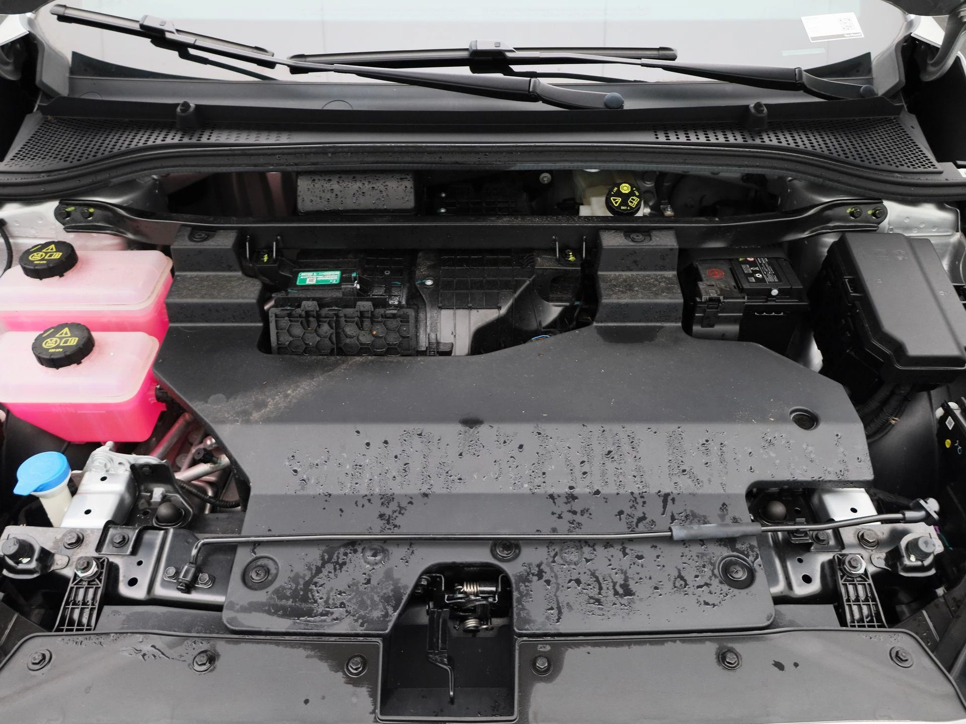 MG-MG4 EV-image-34