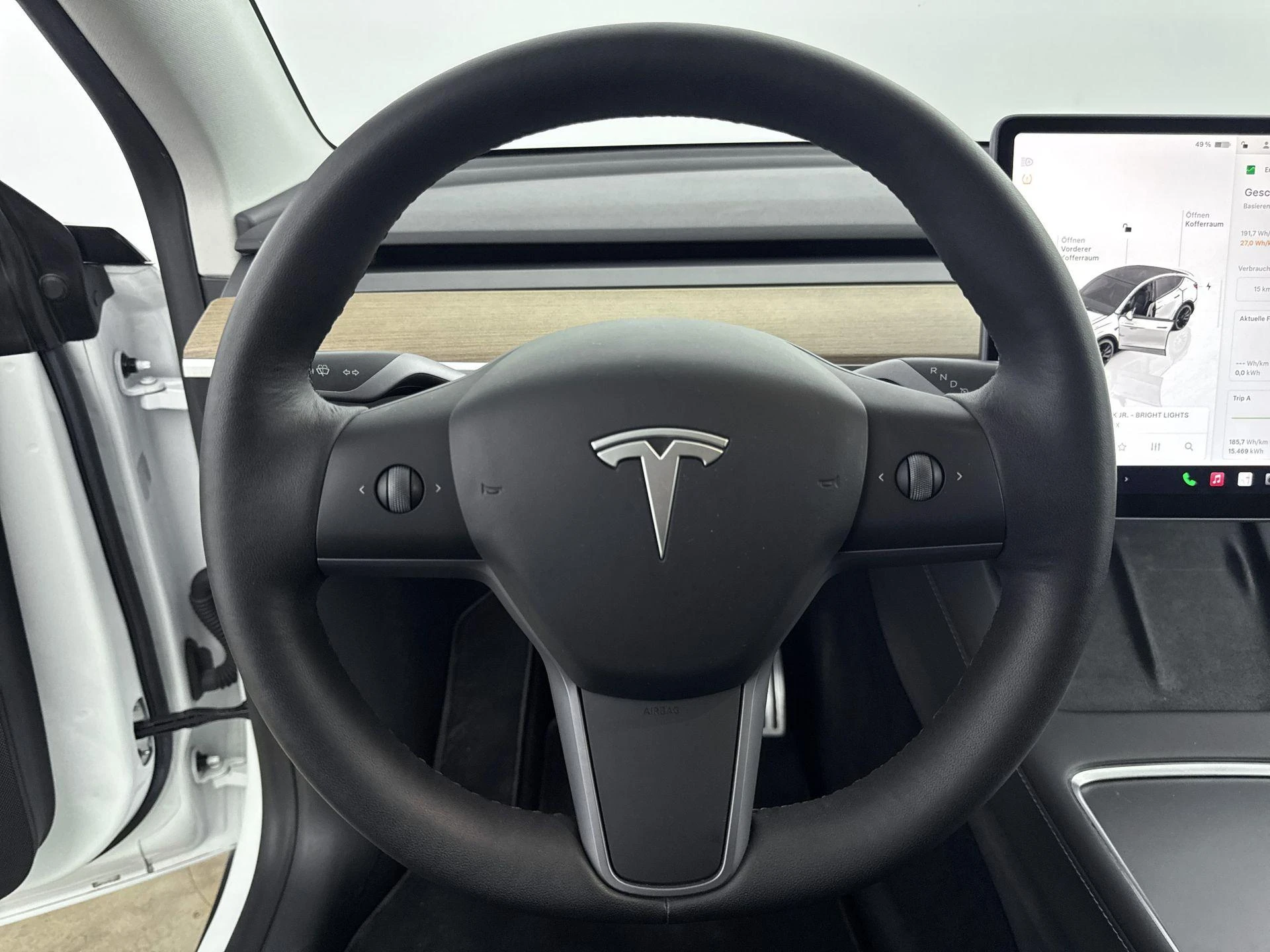 Tesla-Model Y-image-20