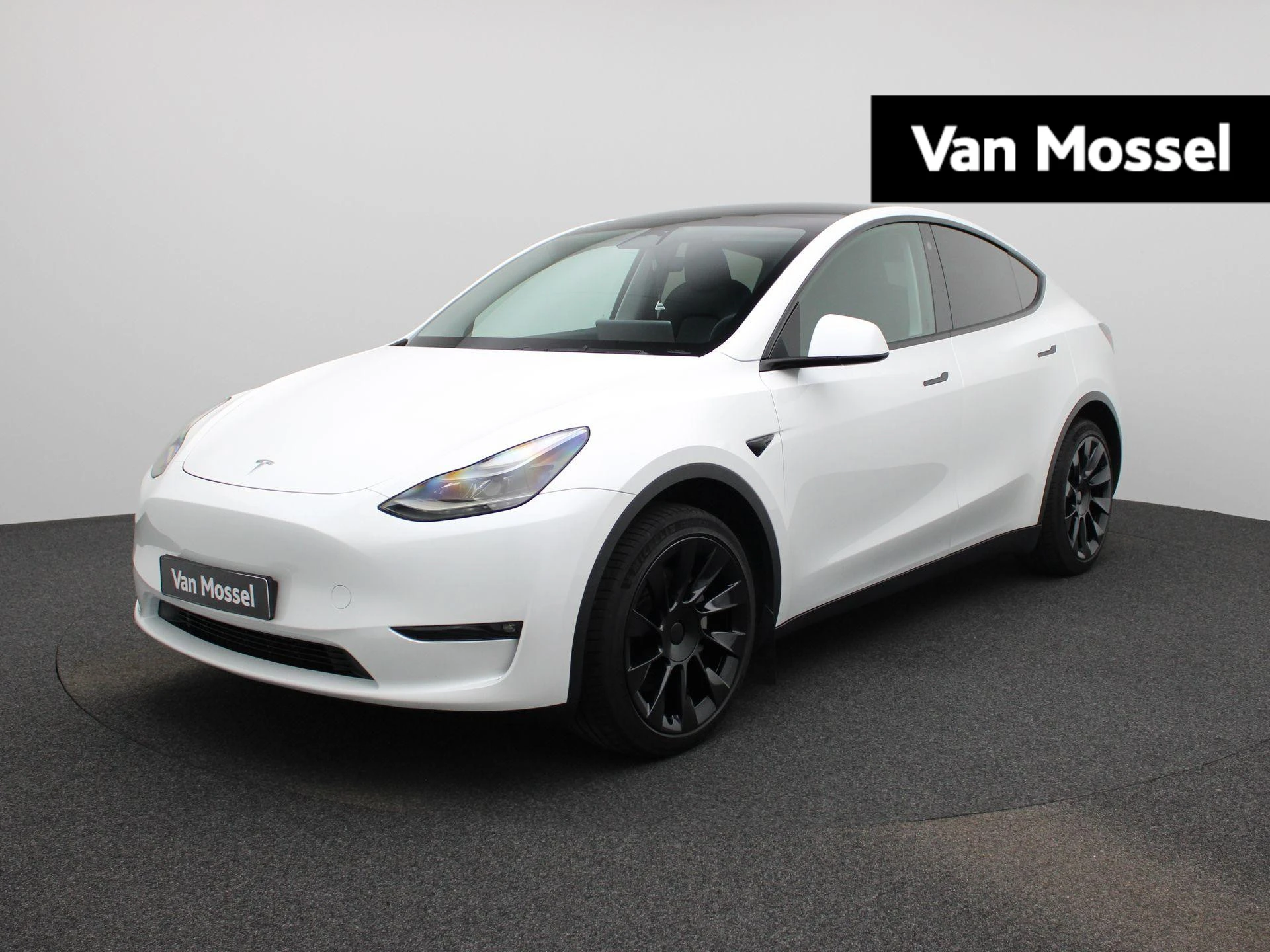 Tesla-Model Y-image-0