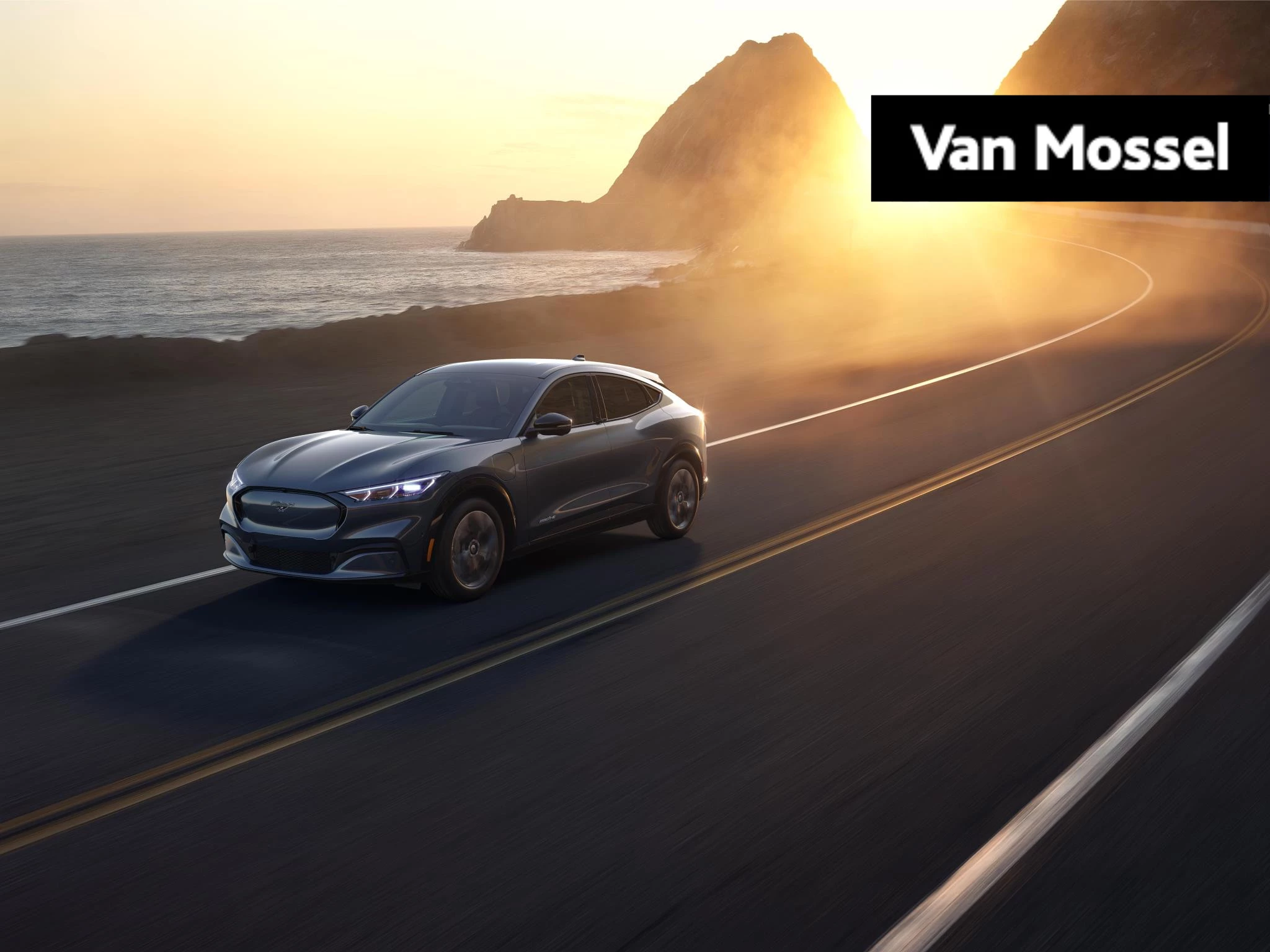 Ford-Mustang Mach-E-image-0