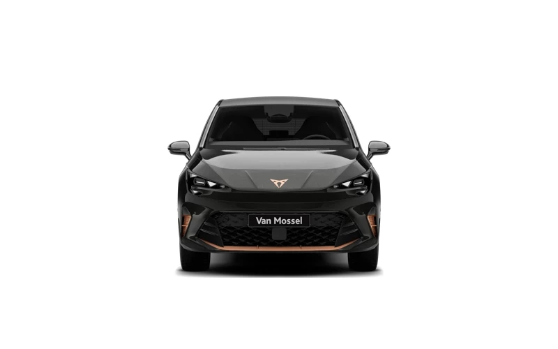 CUPRA Born Performance