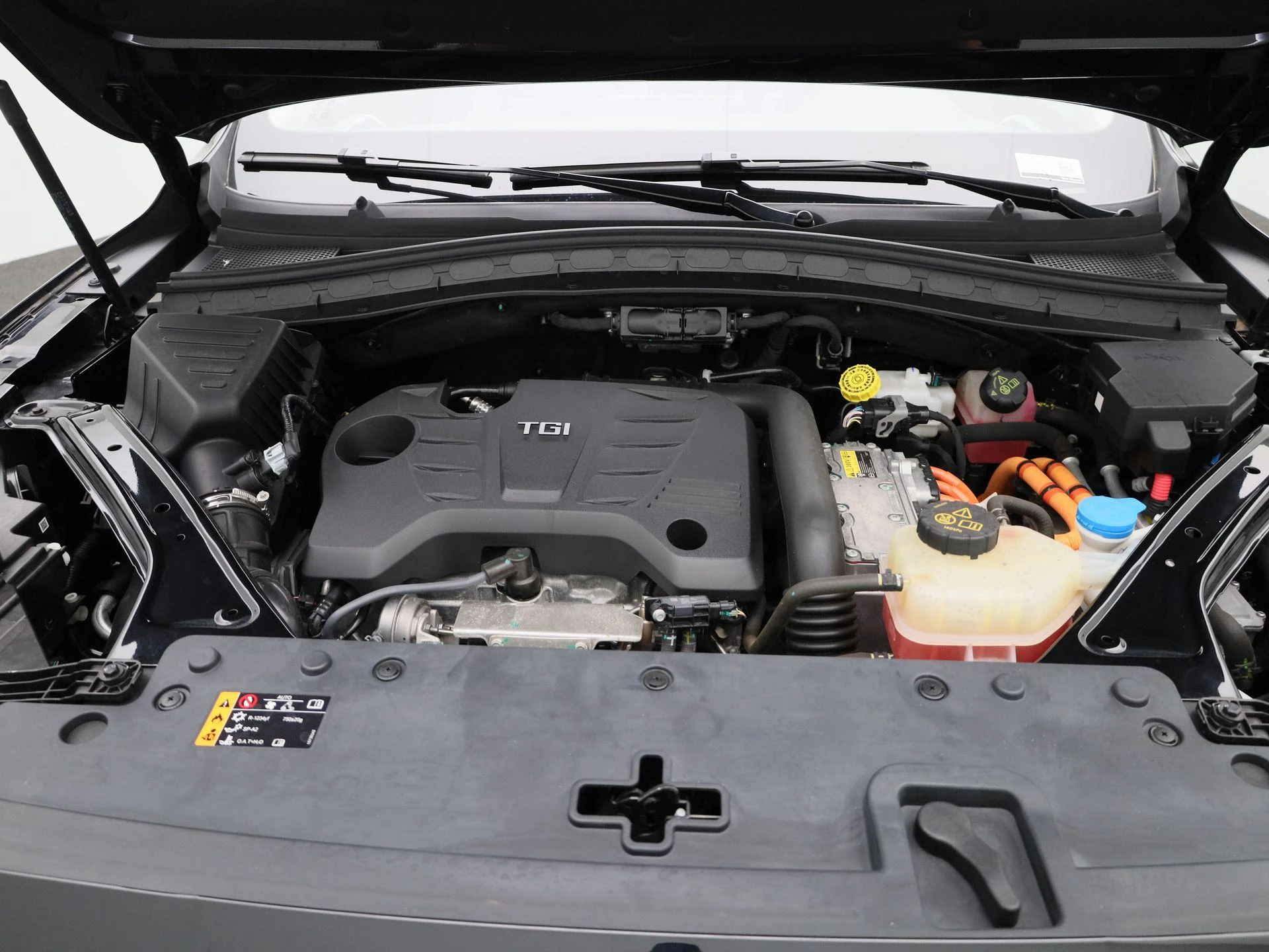 MG-EHS-image-32