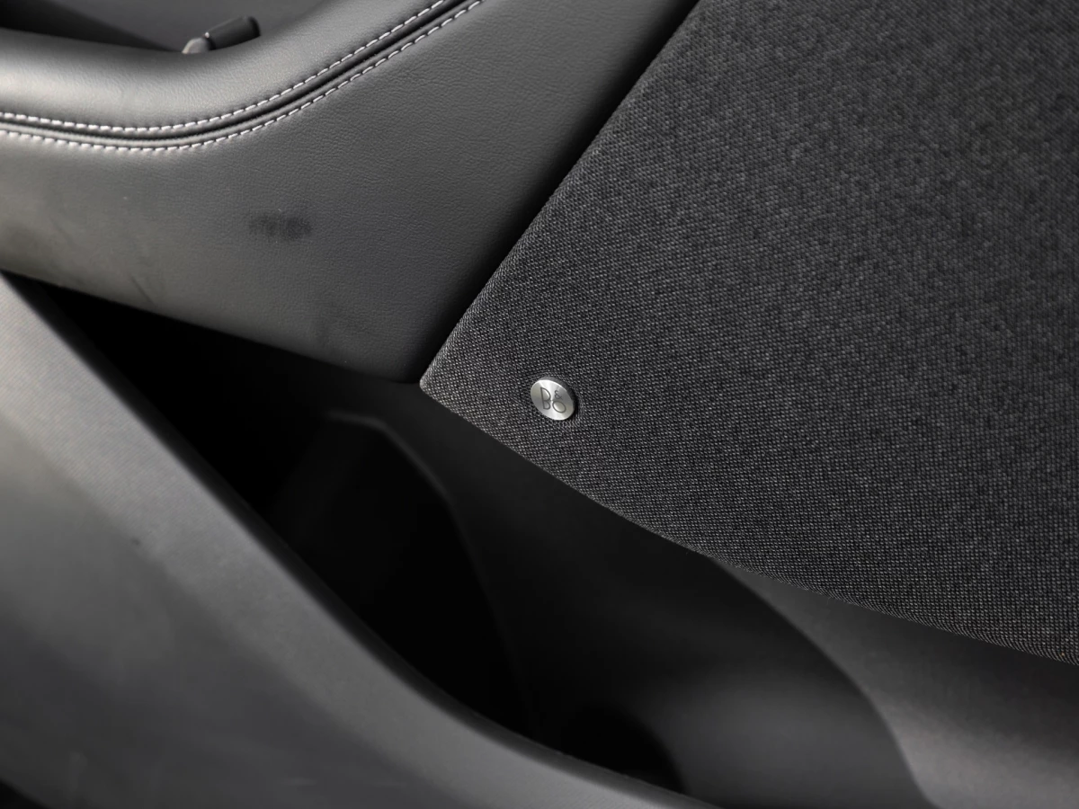 Ford-Mustang Mach-E-image-19