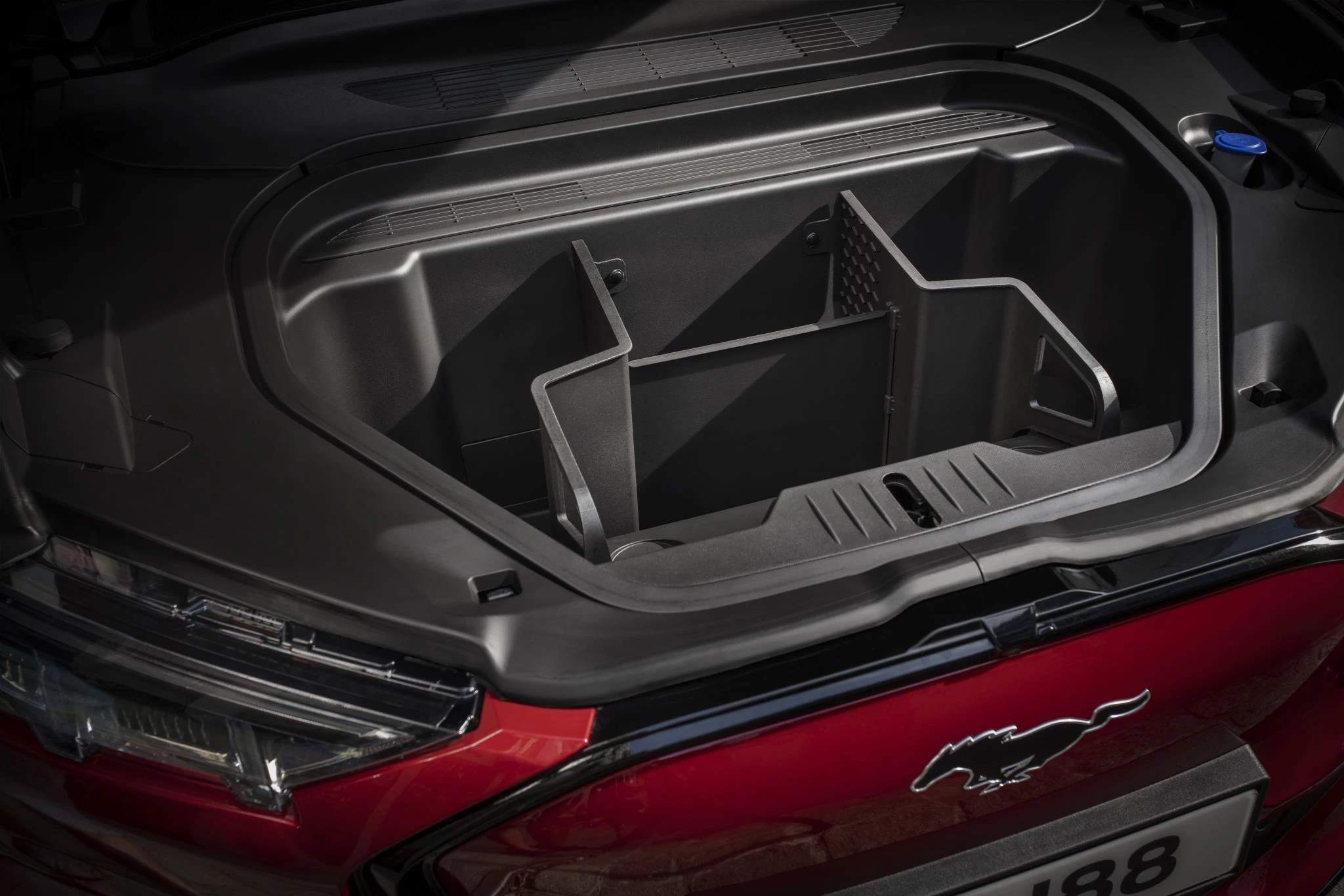 Ford-Mustang Mach-E-image-12