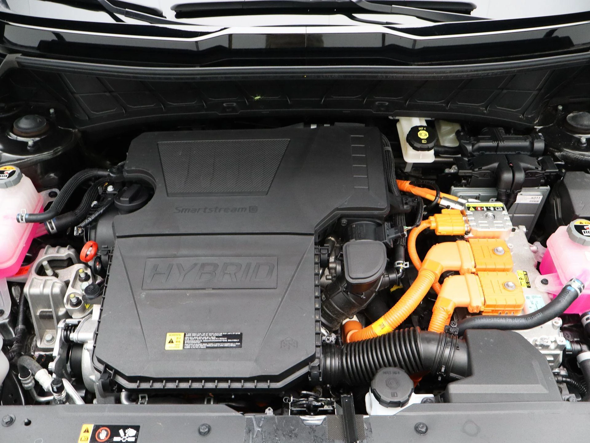 Kia-Niro-image-36