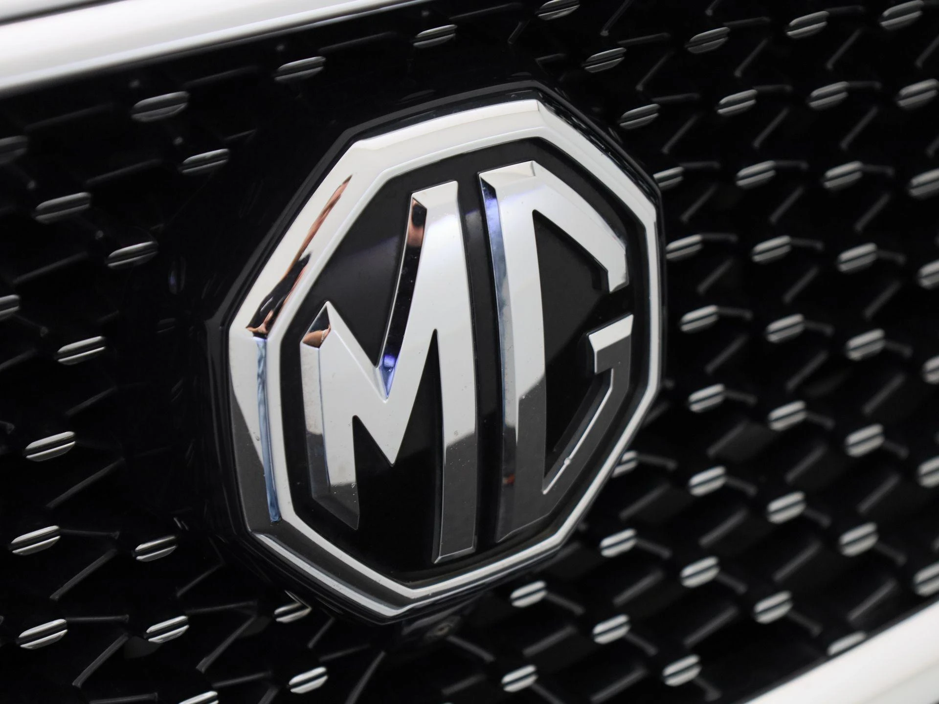 MG-EHS-image-33