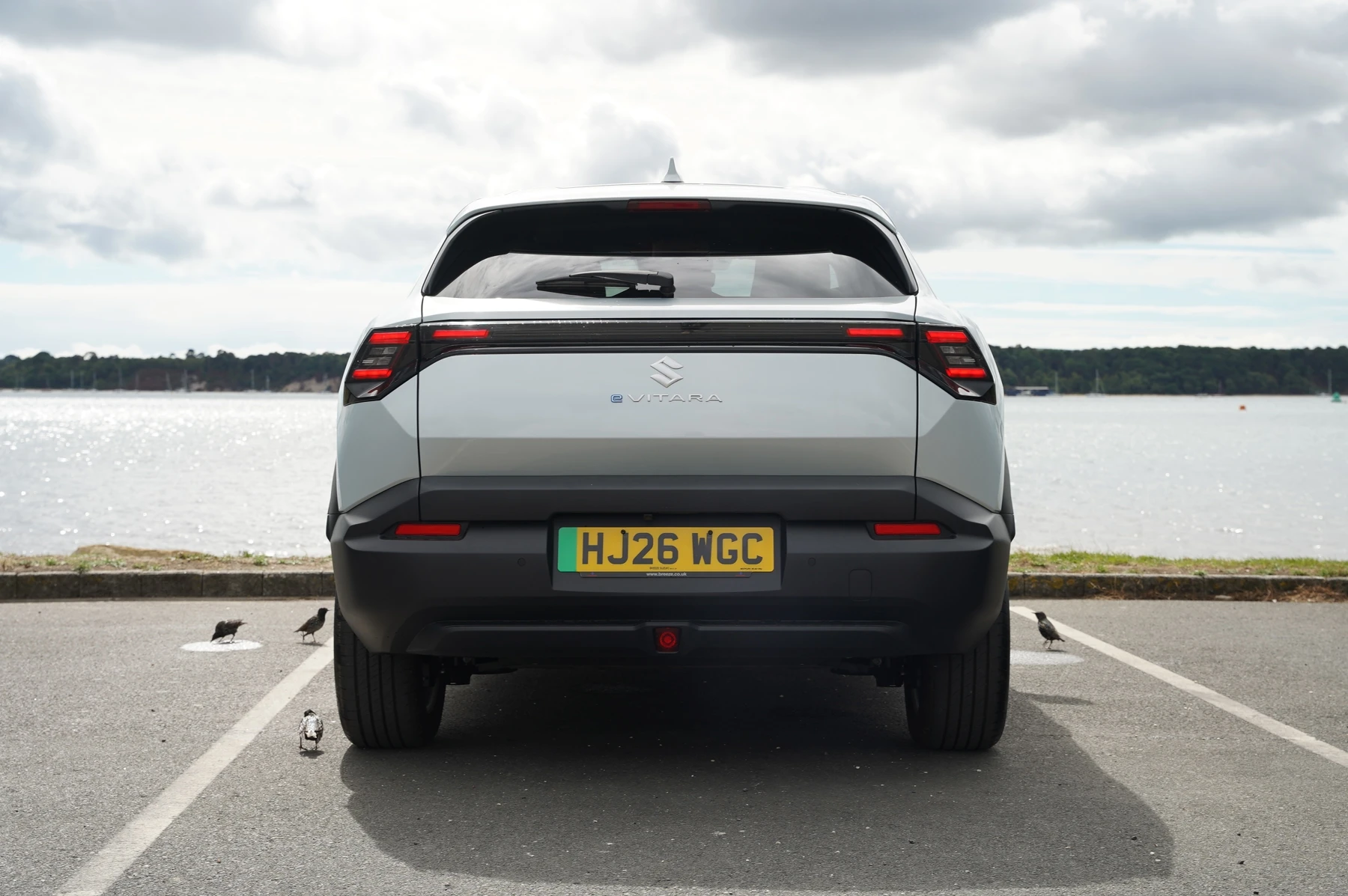 Suzuki-e Vitara-image-12