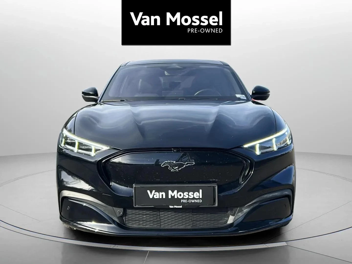 Ford-Mustang Mach-E-image-1