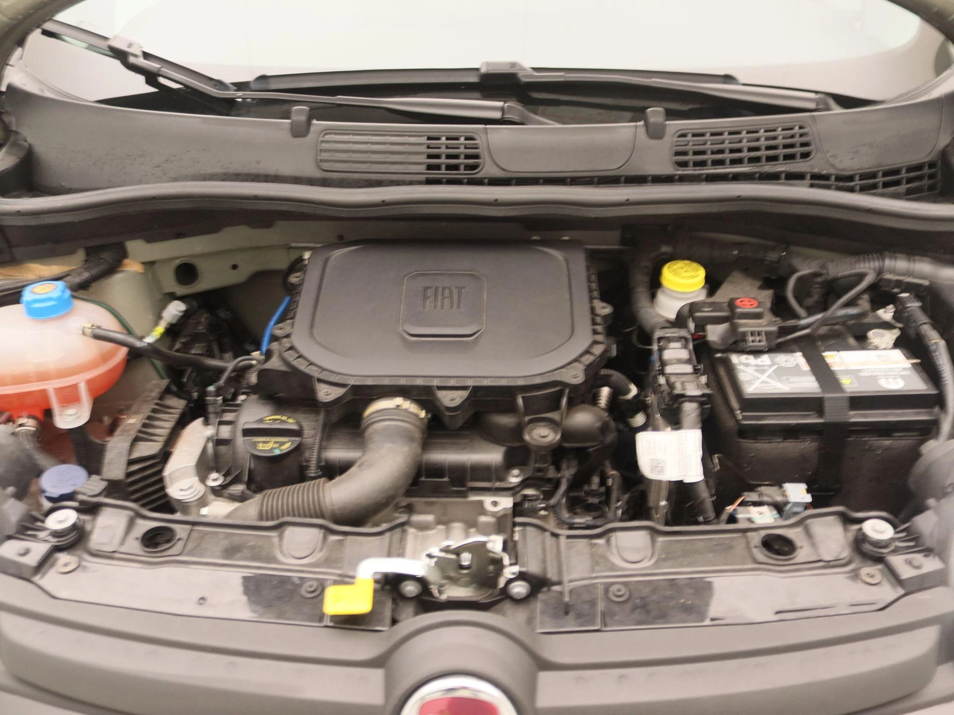 Fiat-Panda-image-22