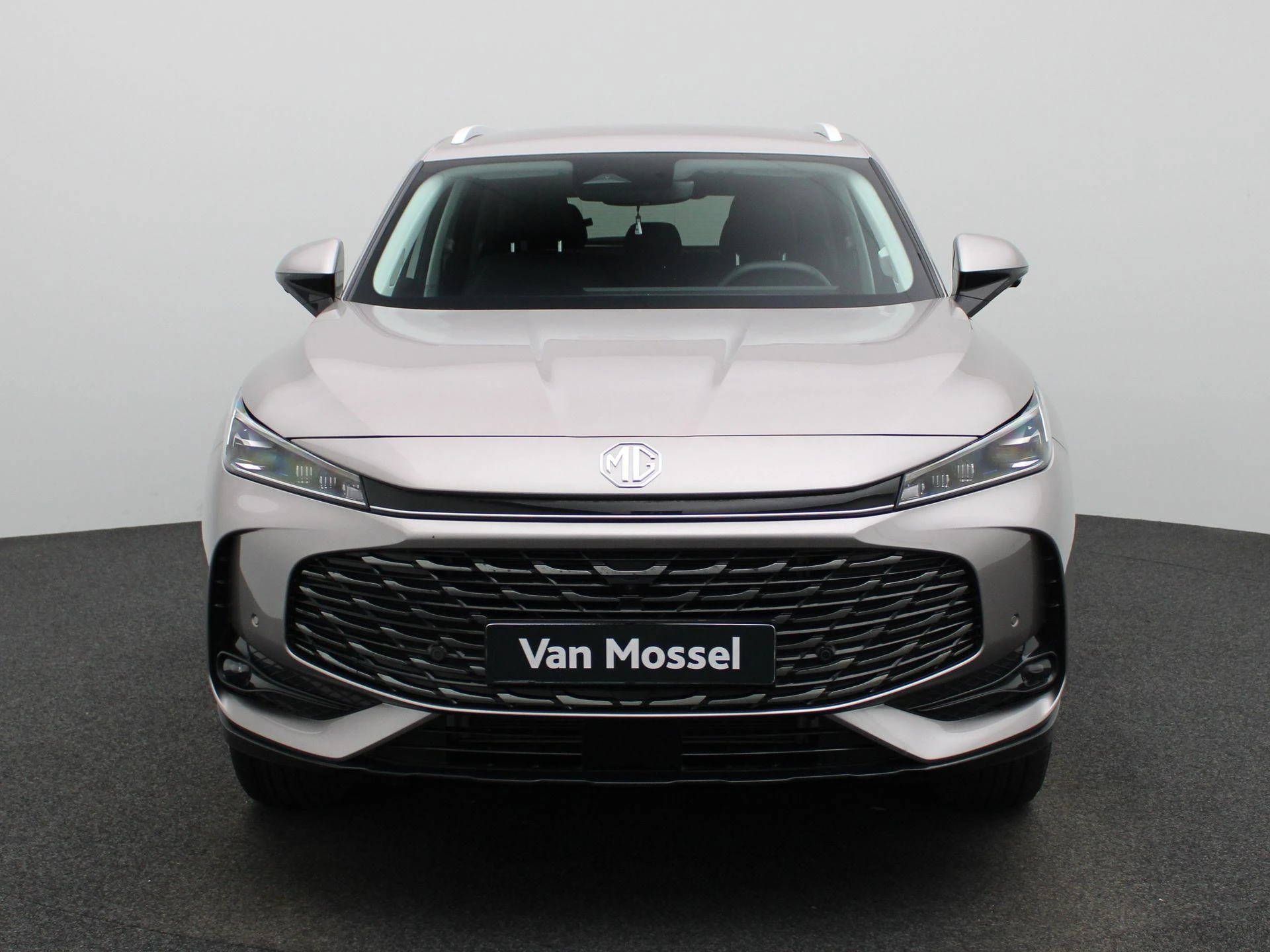 MG-HS-image-2