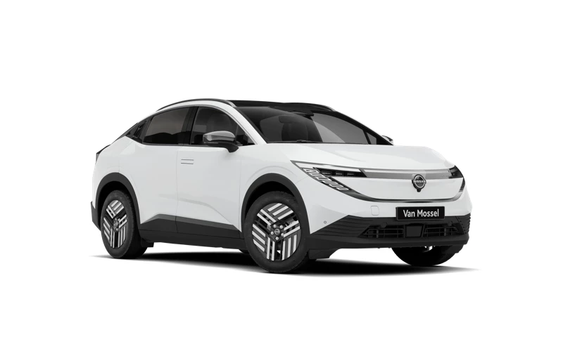 Nissan Leaf 52 kWh 177 1AT Advance + Two Tone